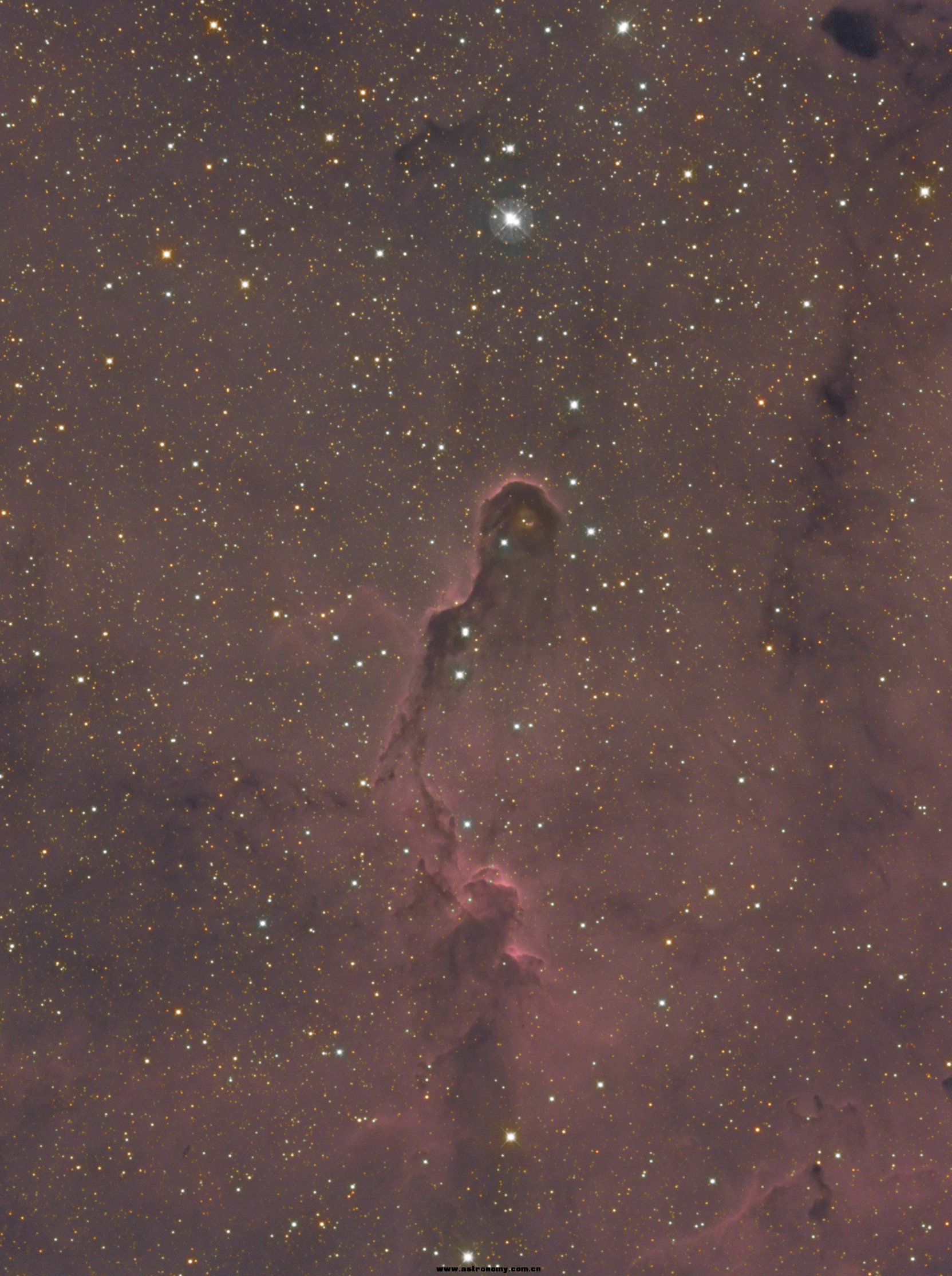 IC1396-RGB-Scaled.jpg