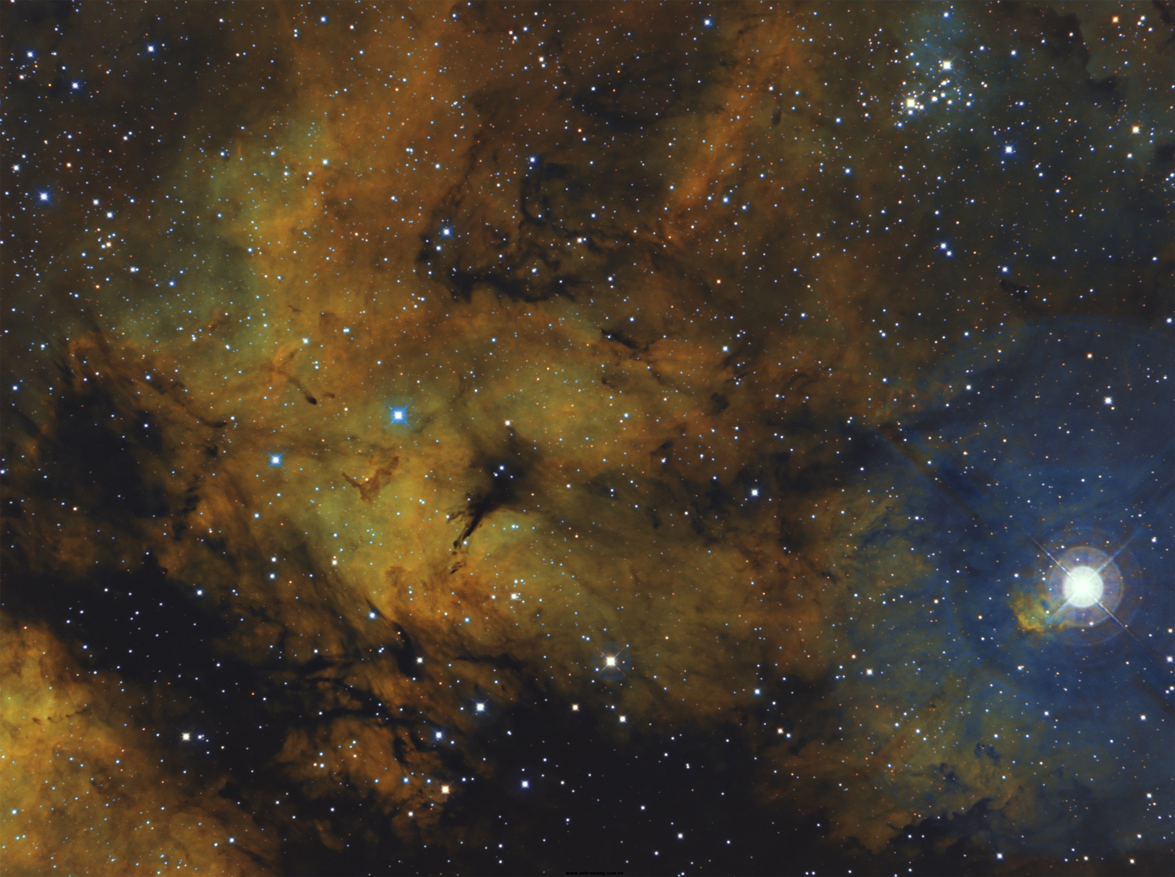 IC1318-HOS.jpg