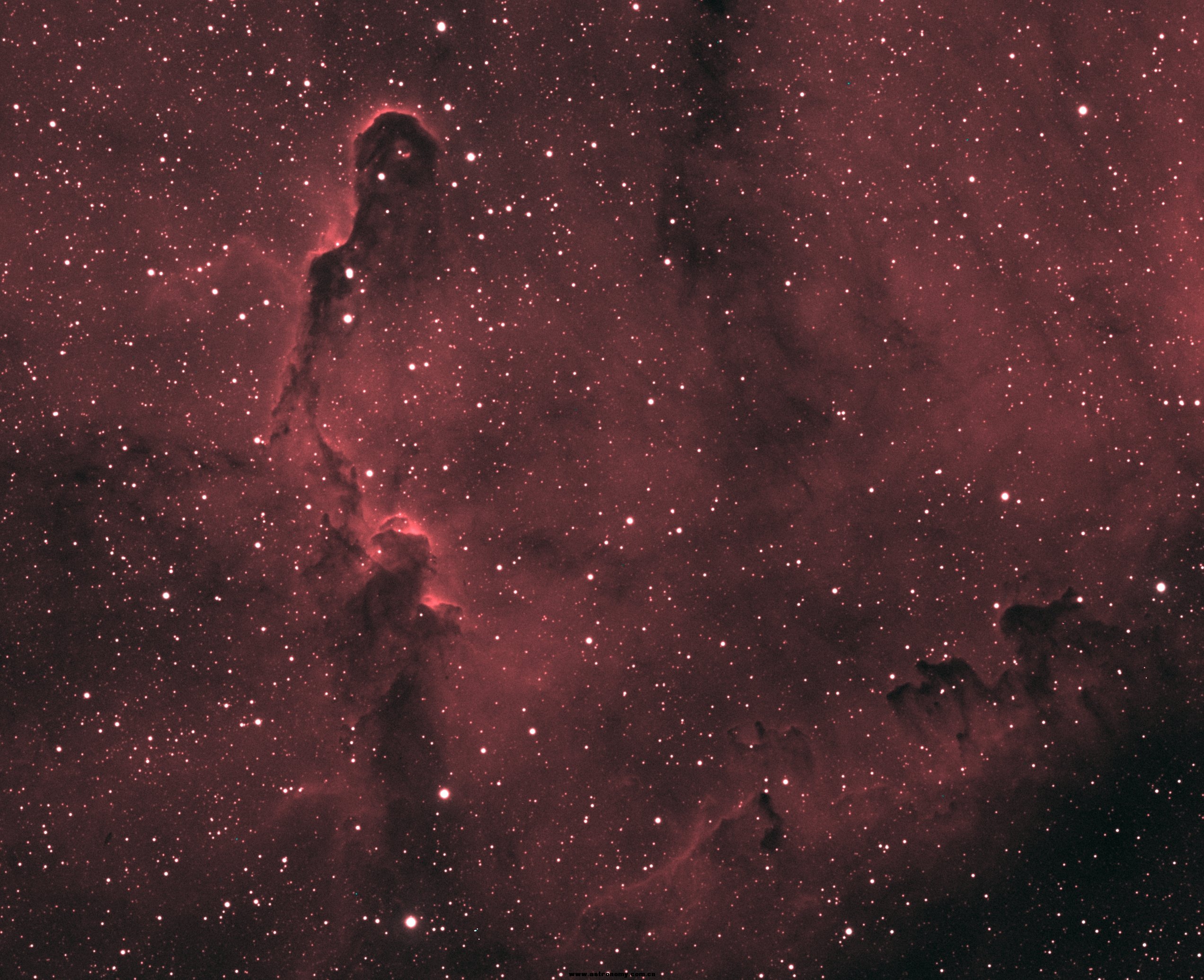 象鼻星云IC1396，Hoo