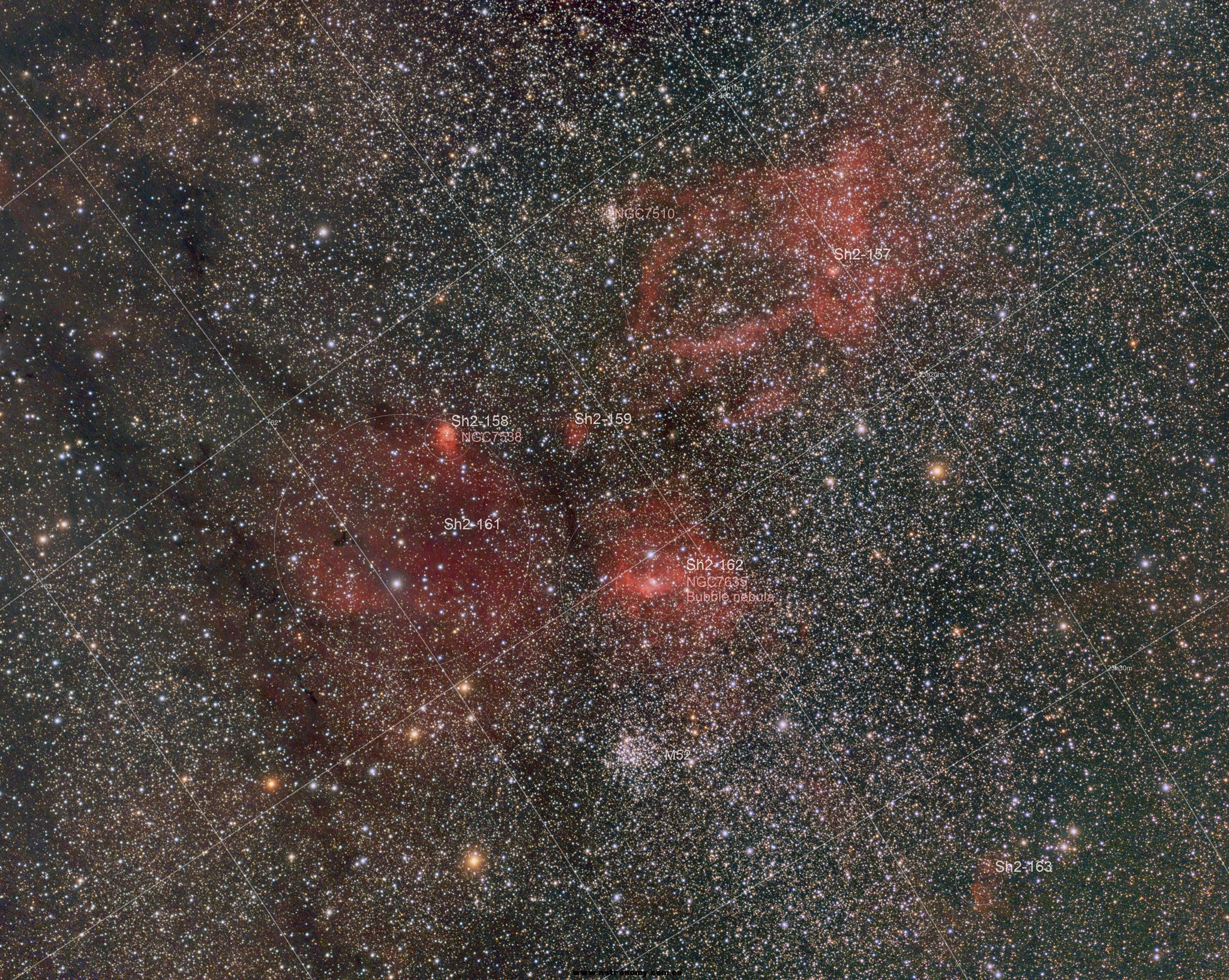 Bubble_wideField_1B.jpg