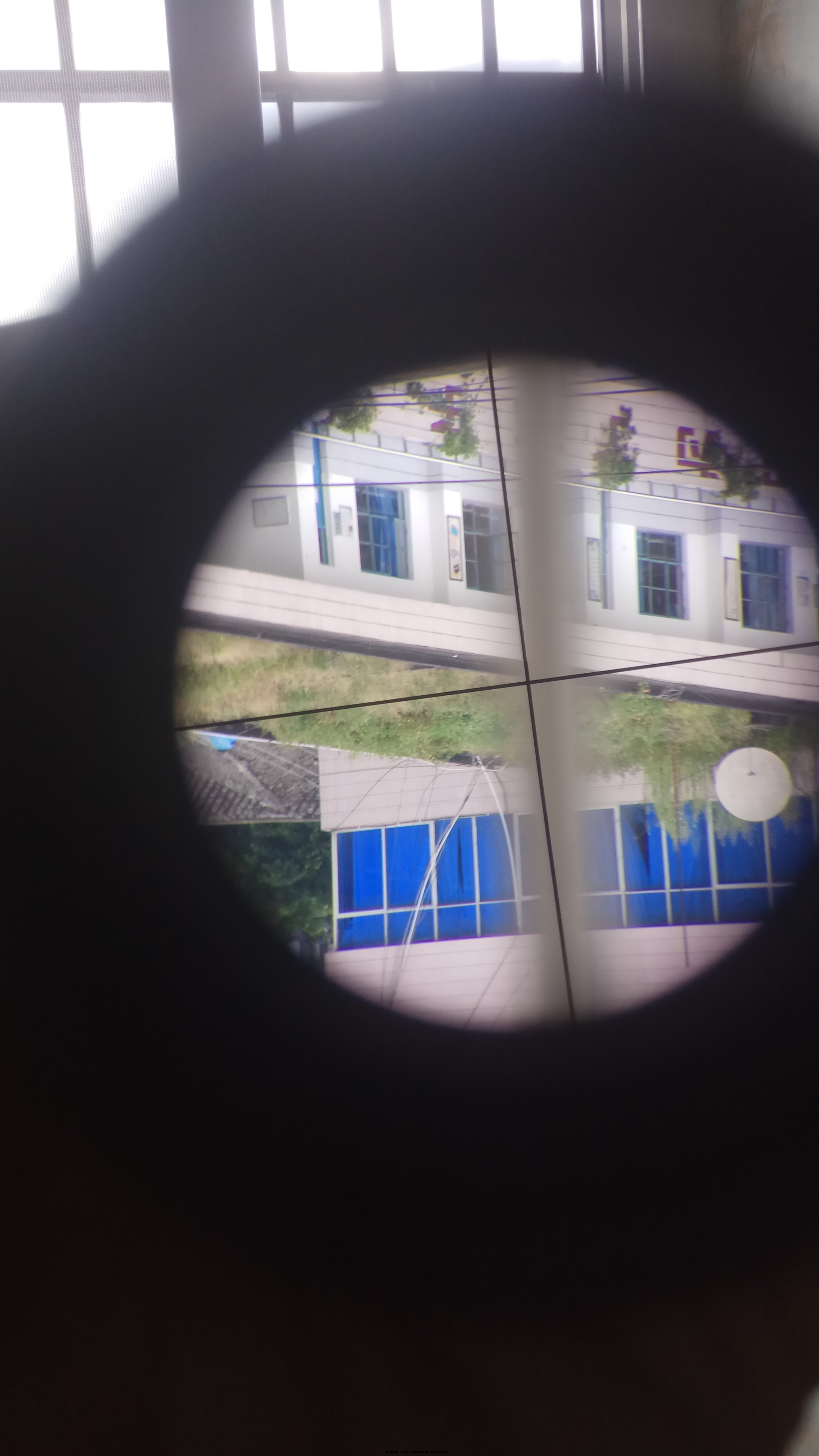 大的