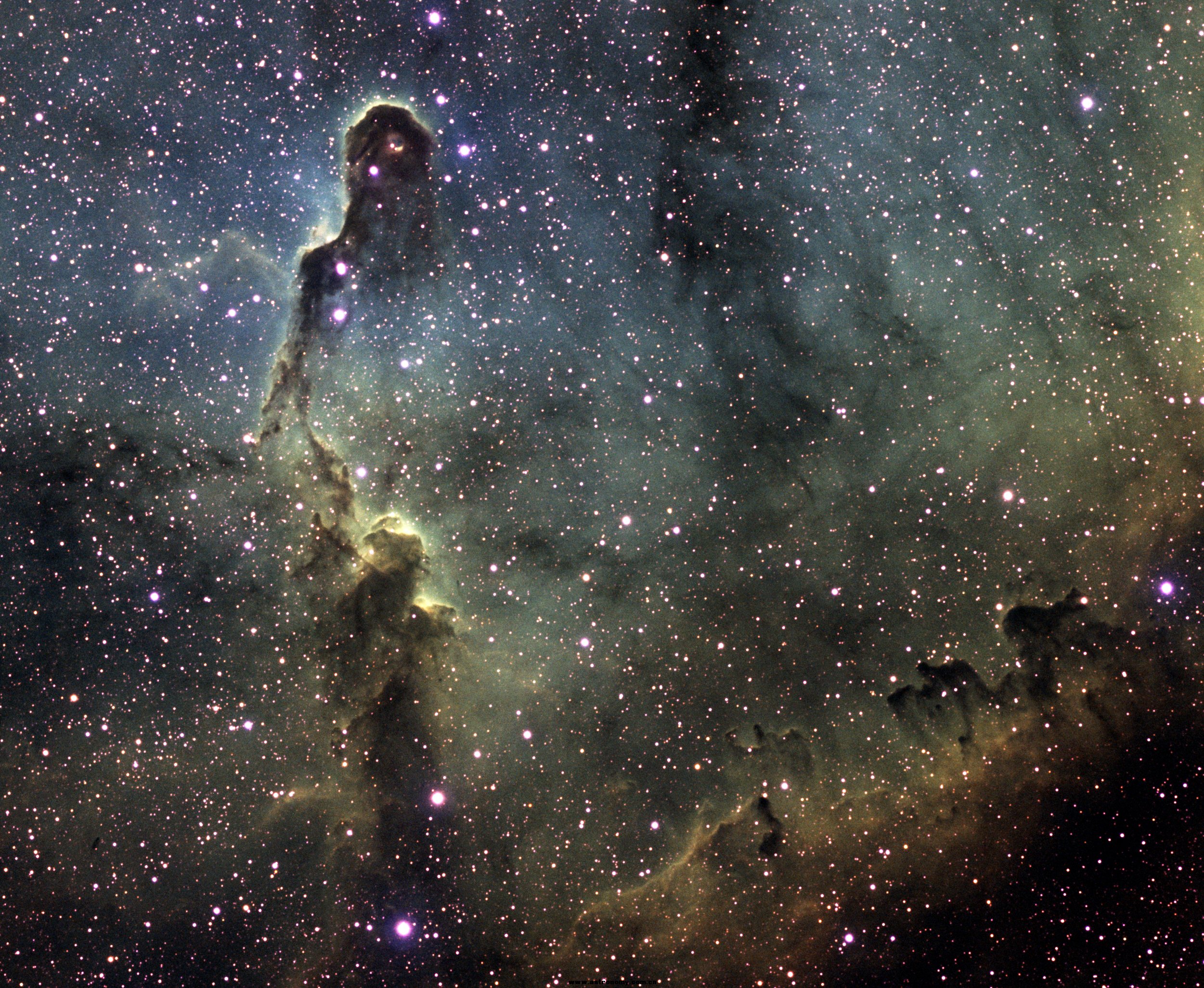 ic1396 sho