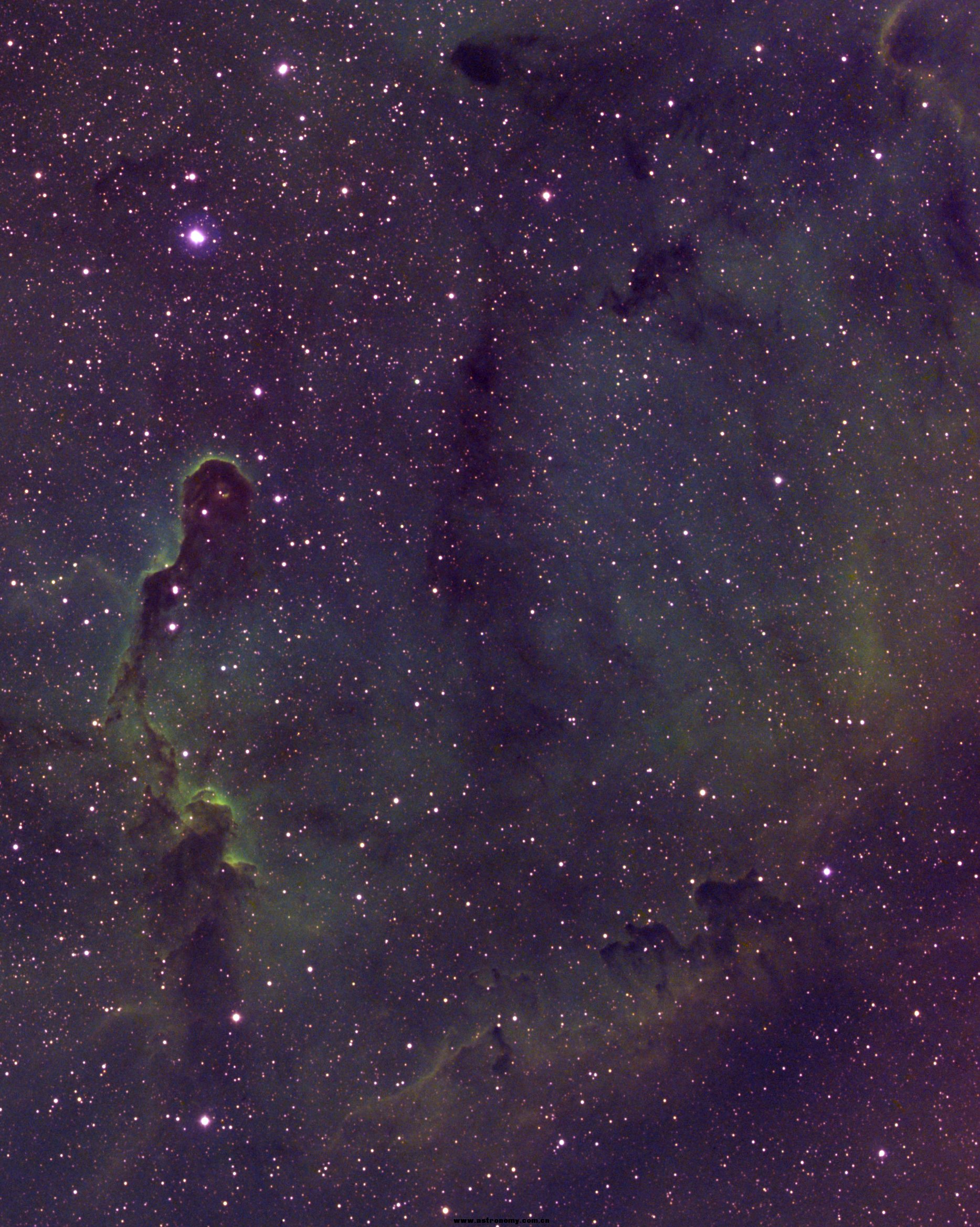 IC1396.jpg