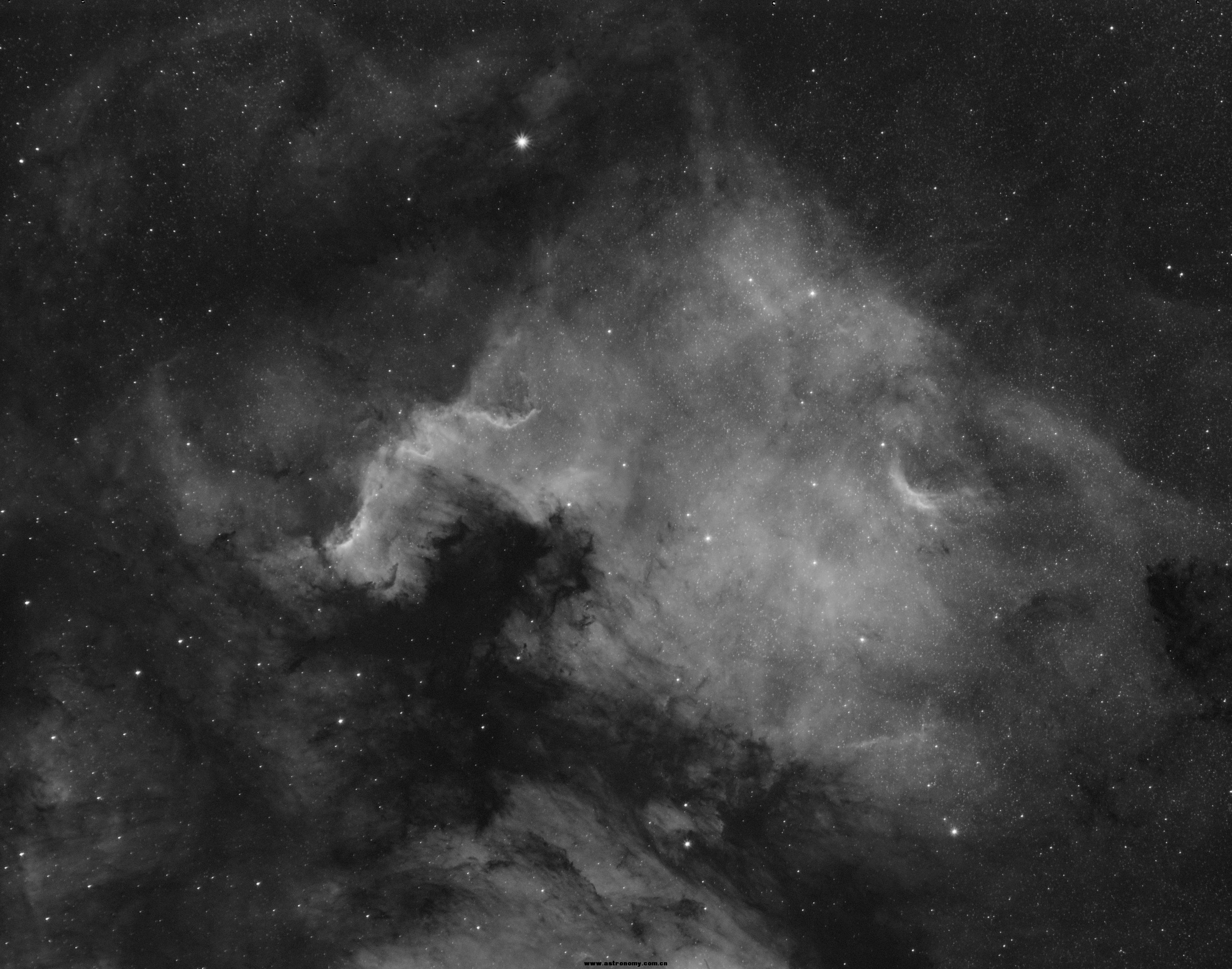NGC7000_OK.jpg