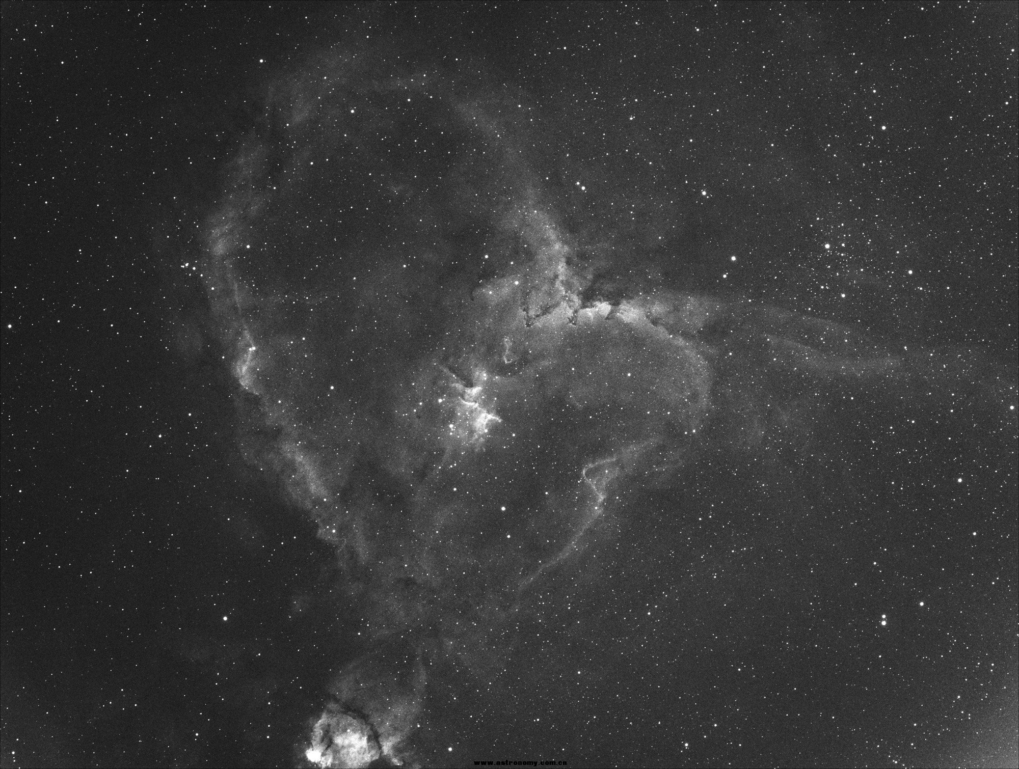 Heart-Ha-1.jpg