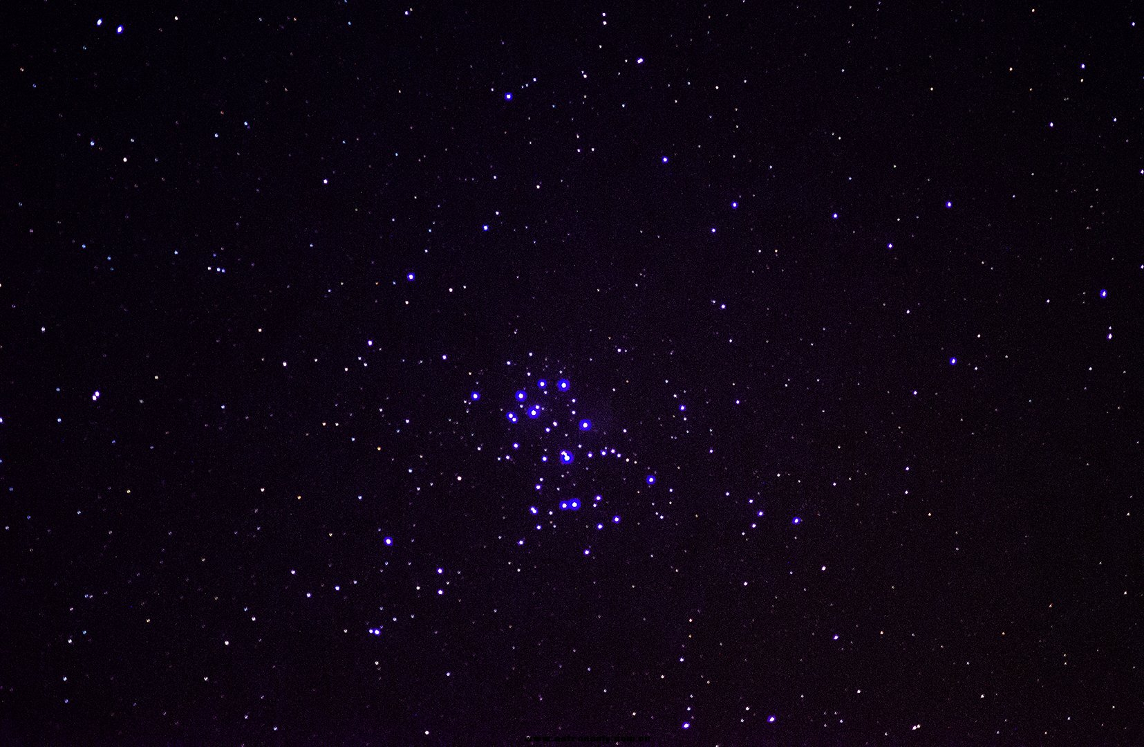 DSC_033612222.jpg