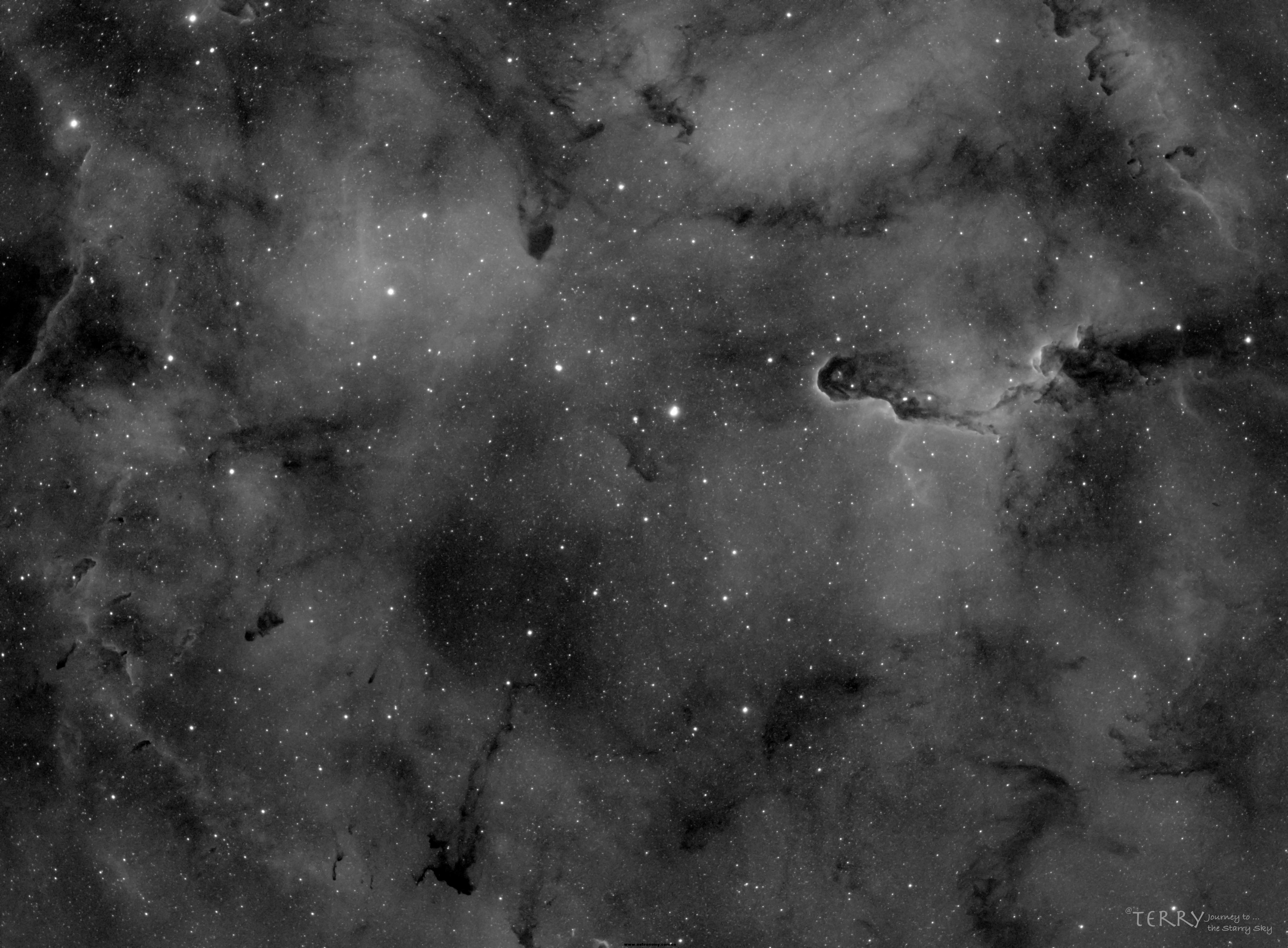 Part of IC1396