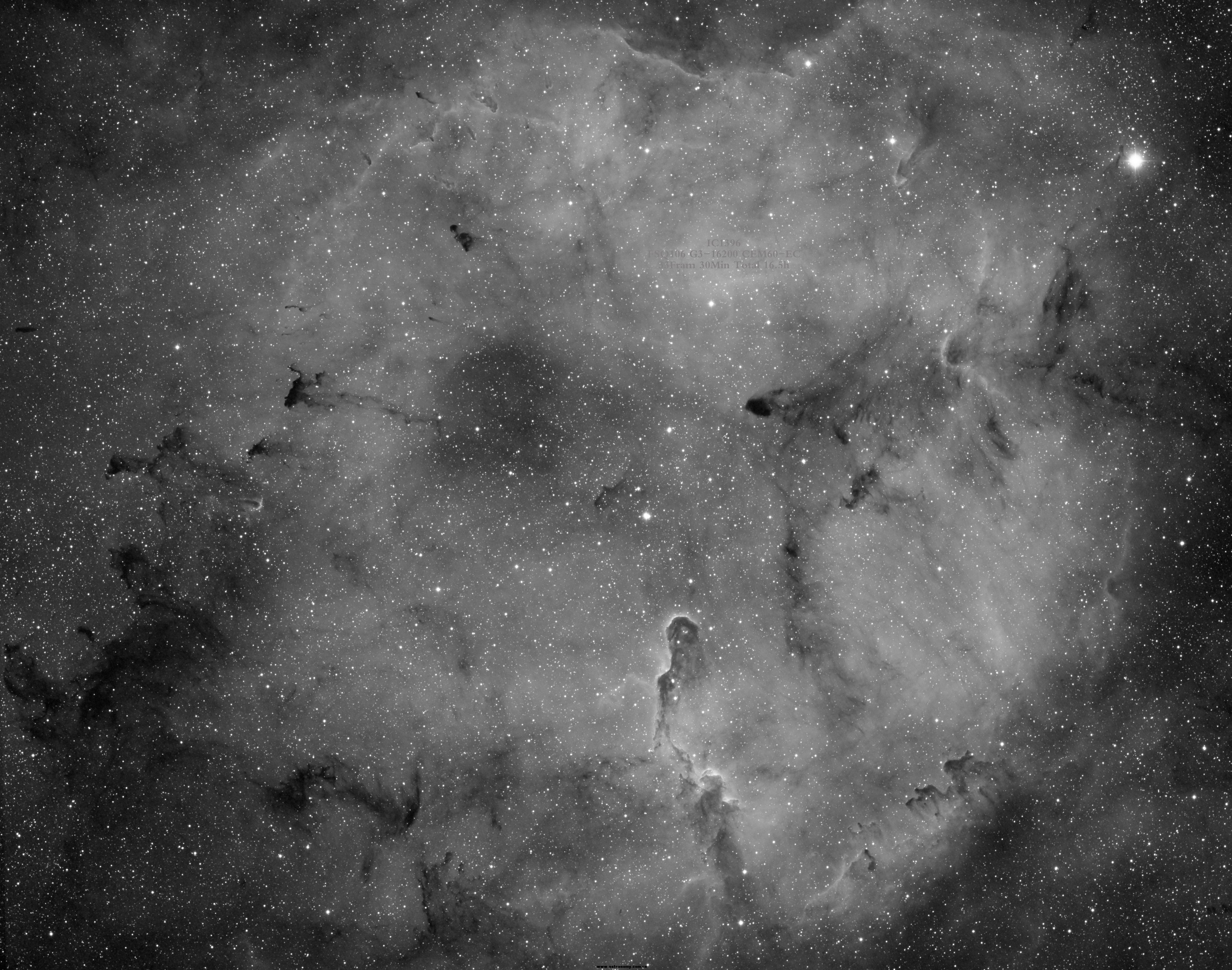 IC1396 Ha.jpg