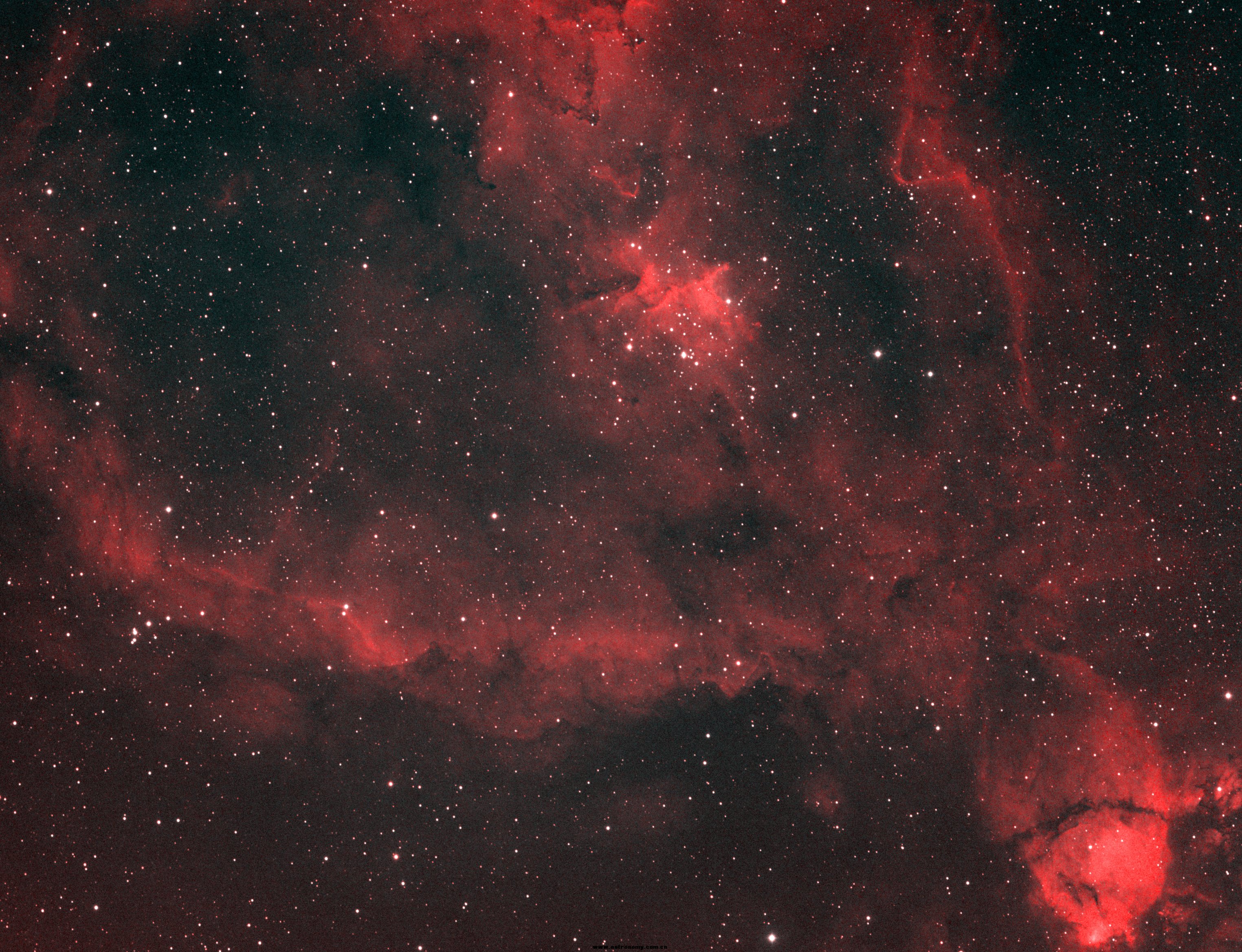 ic1805-HOO-1.jpg