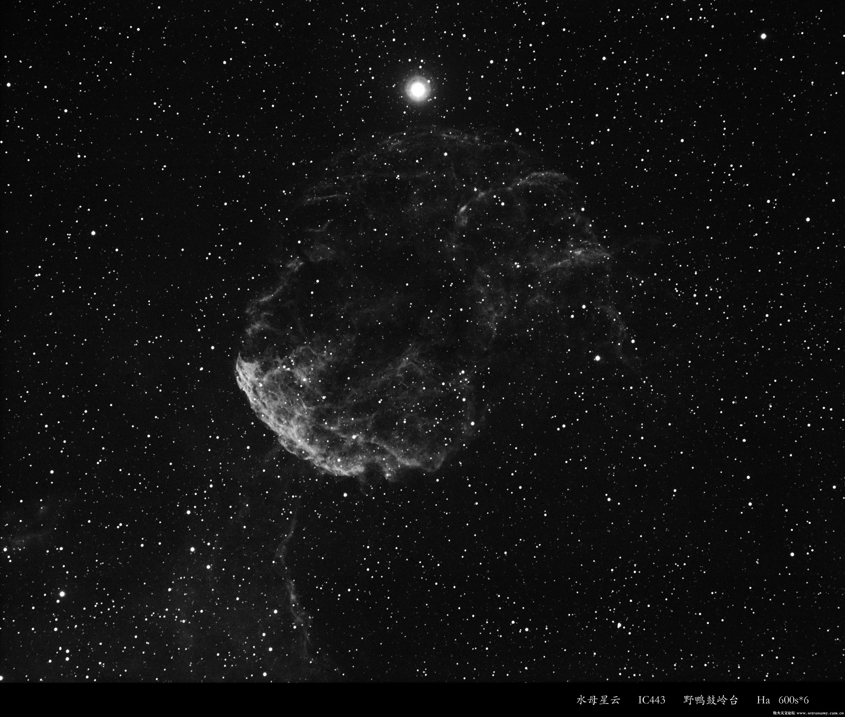 IC443