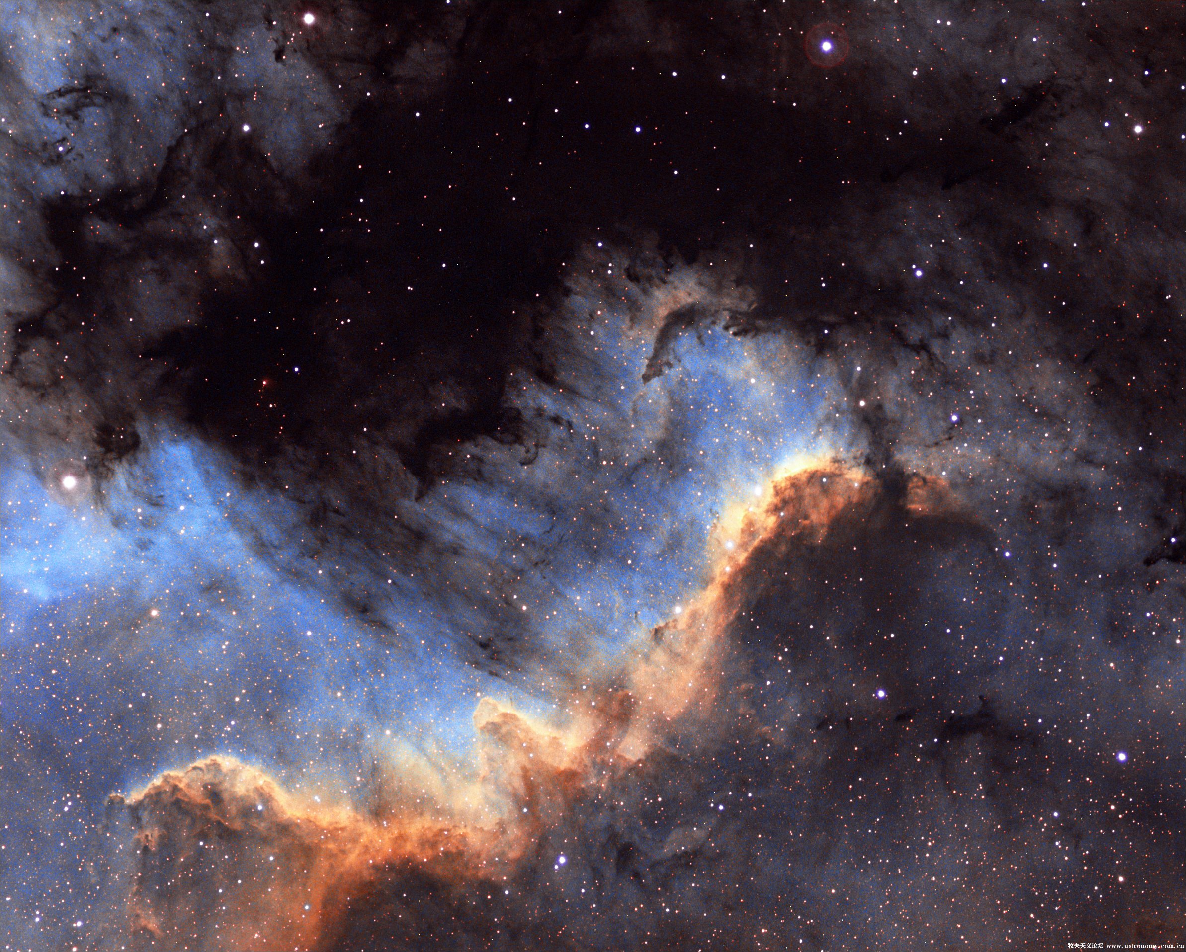 NGC7000