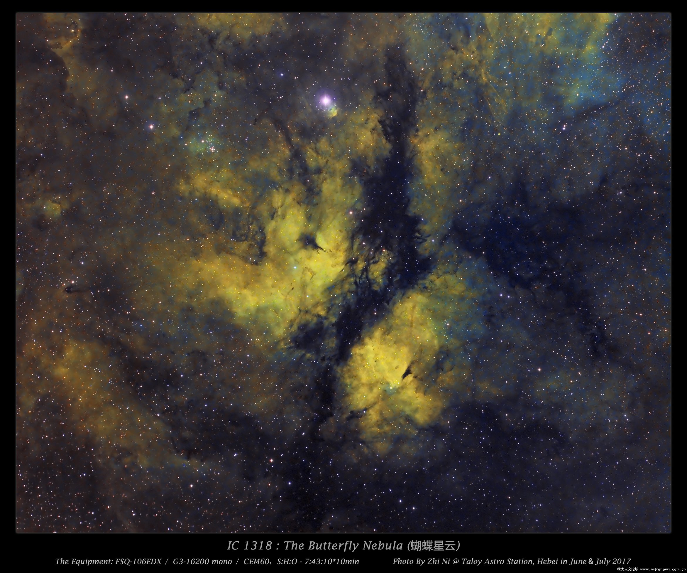 IC1318_SHO_s.jpg