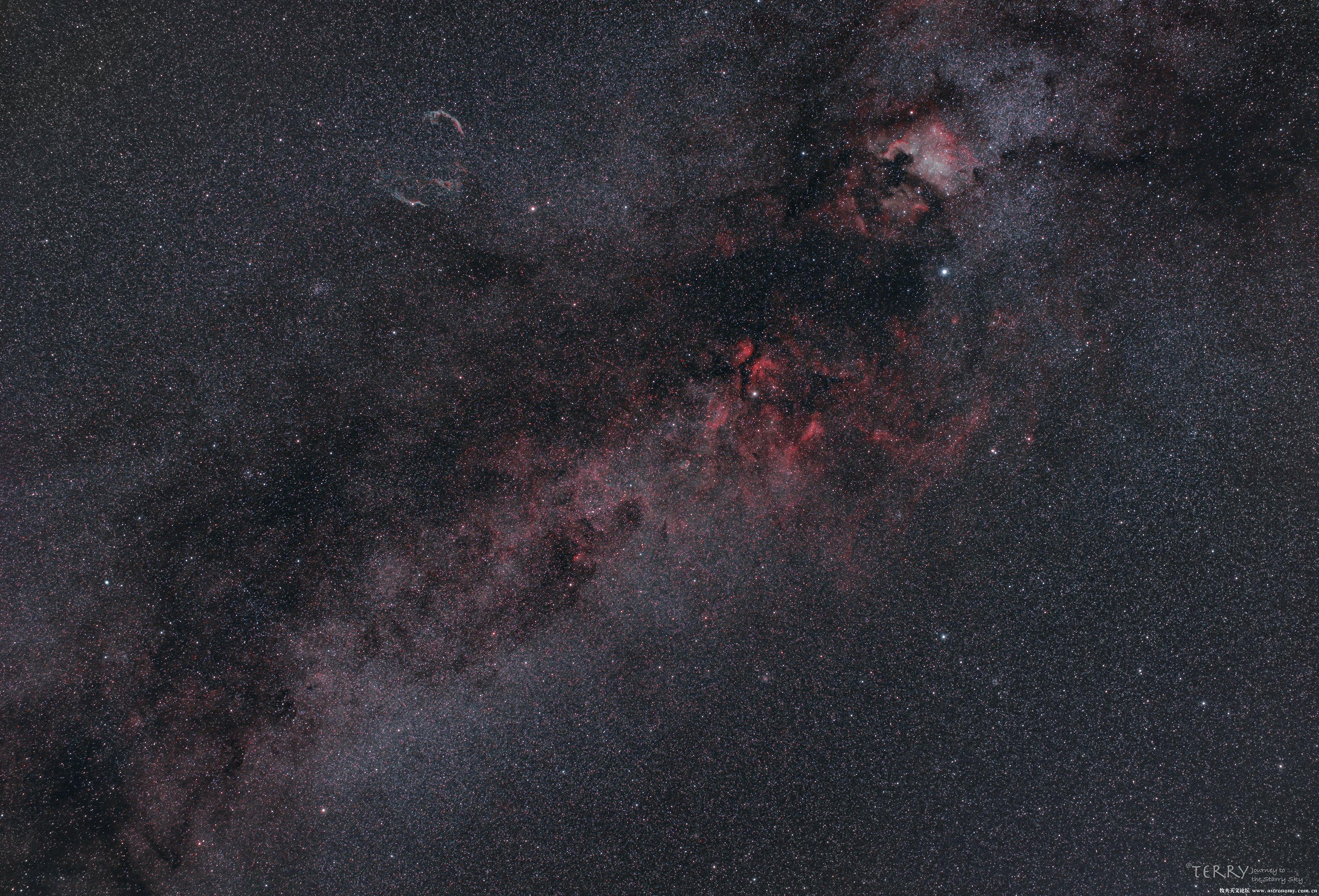 Cygnus_wide