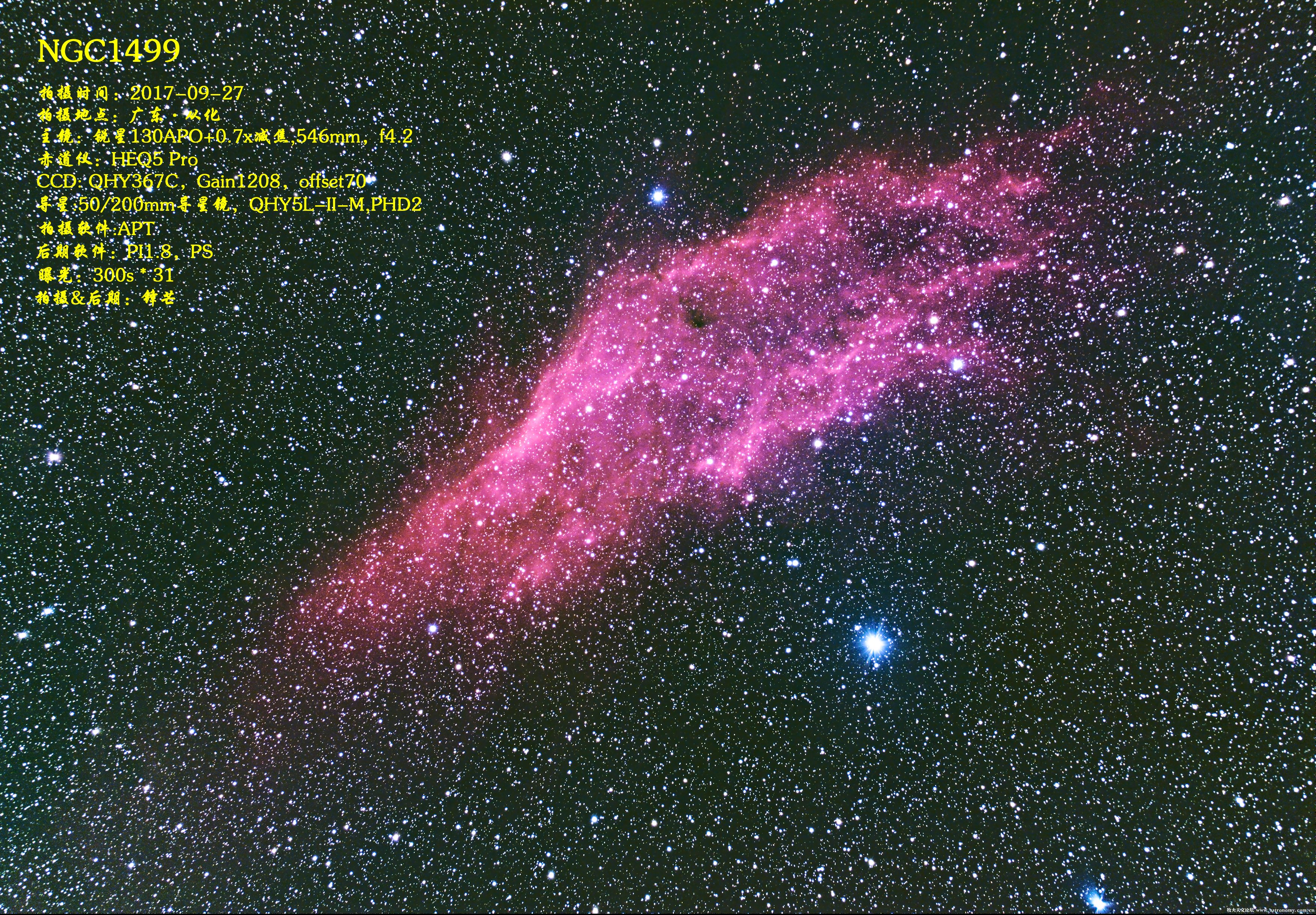 2017-09-27 NGC1499_QHT367C_锐星130APO_无光害滤镜_Gain1208_offset70_PI_PS_FB.jpg