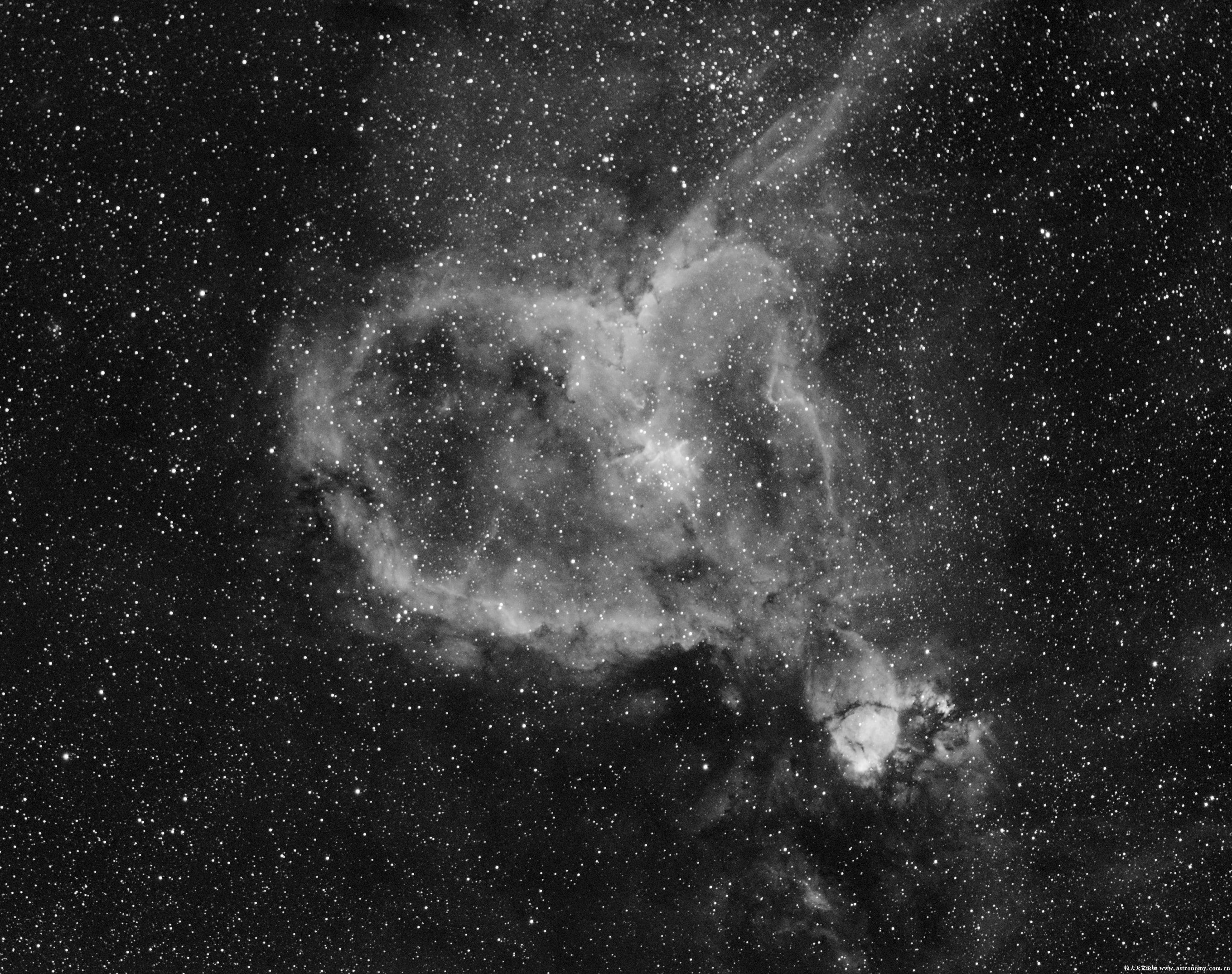 IC1805Ha-D-F-DBE-HG-QX.jpg