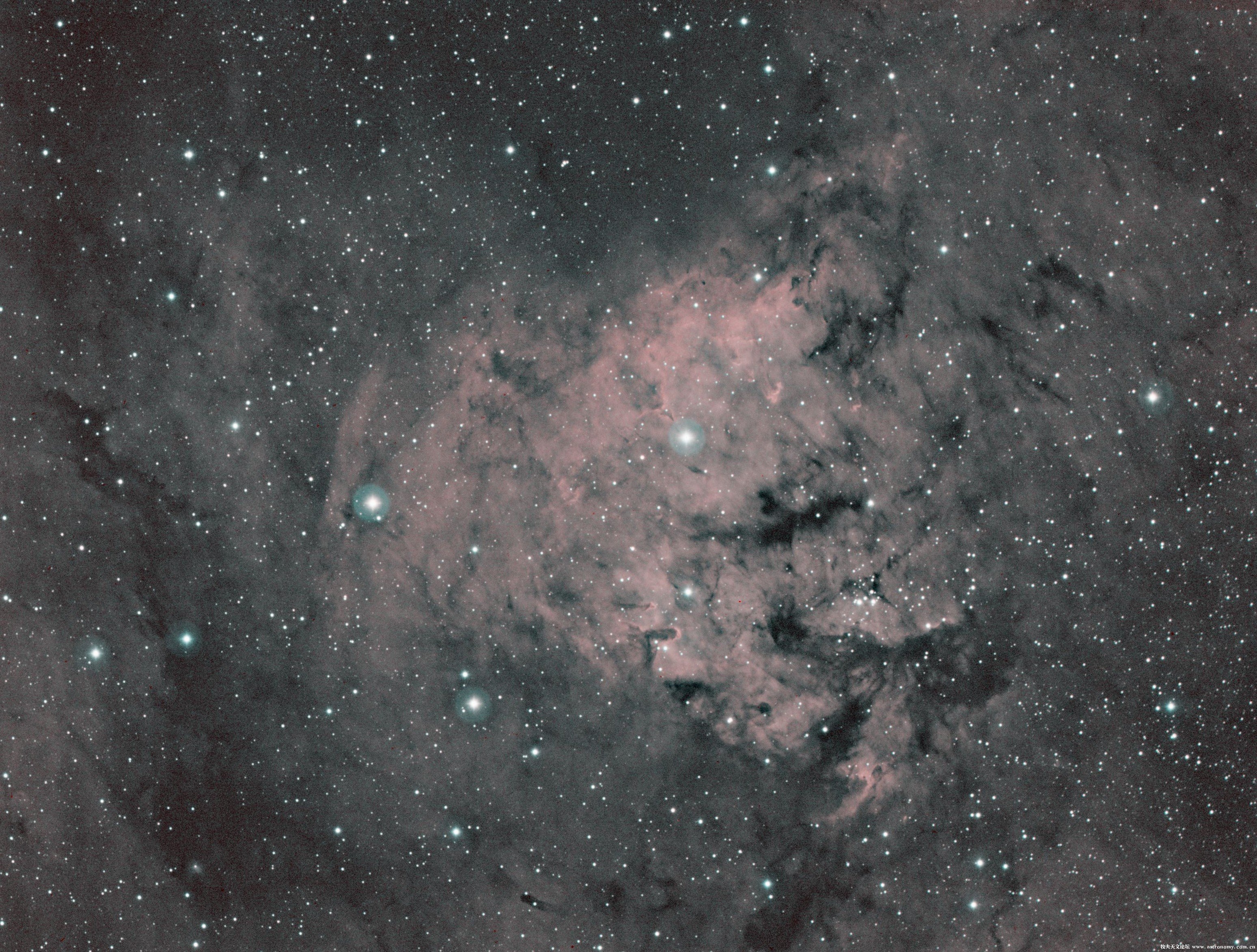 NGC7822-HOO.jpg