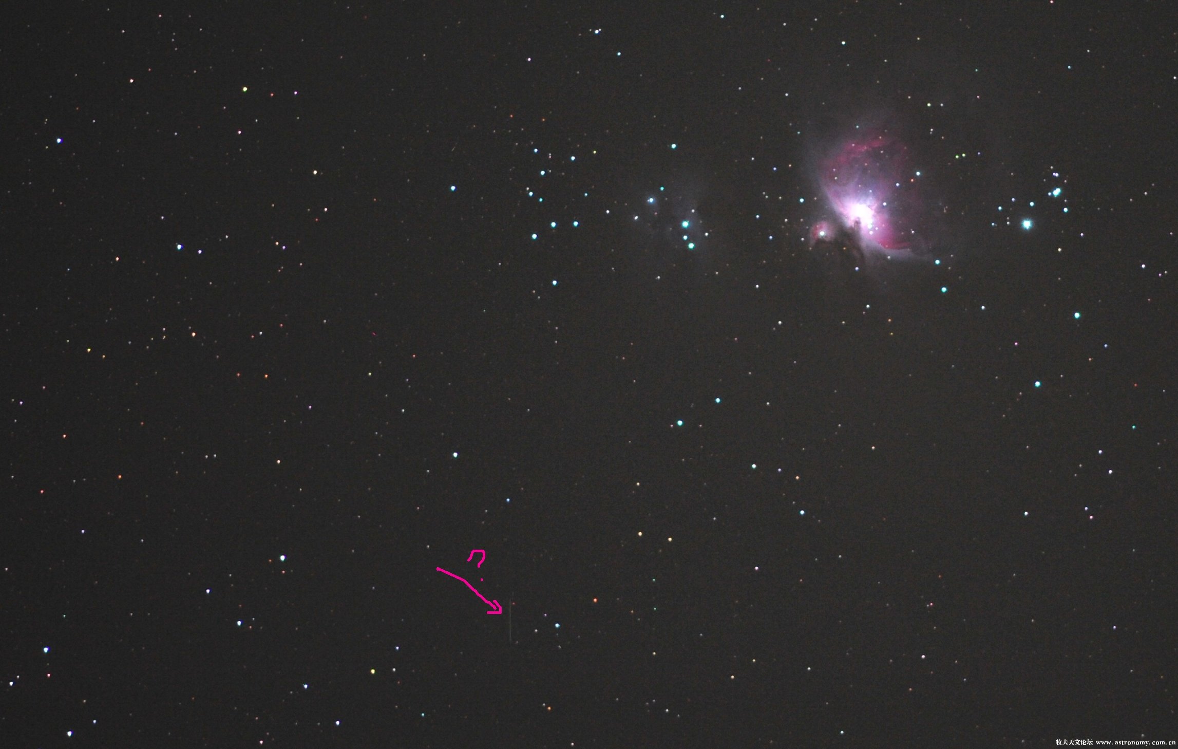 DSC_2023好.jpg