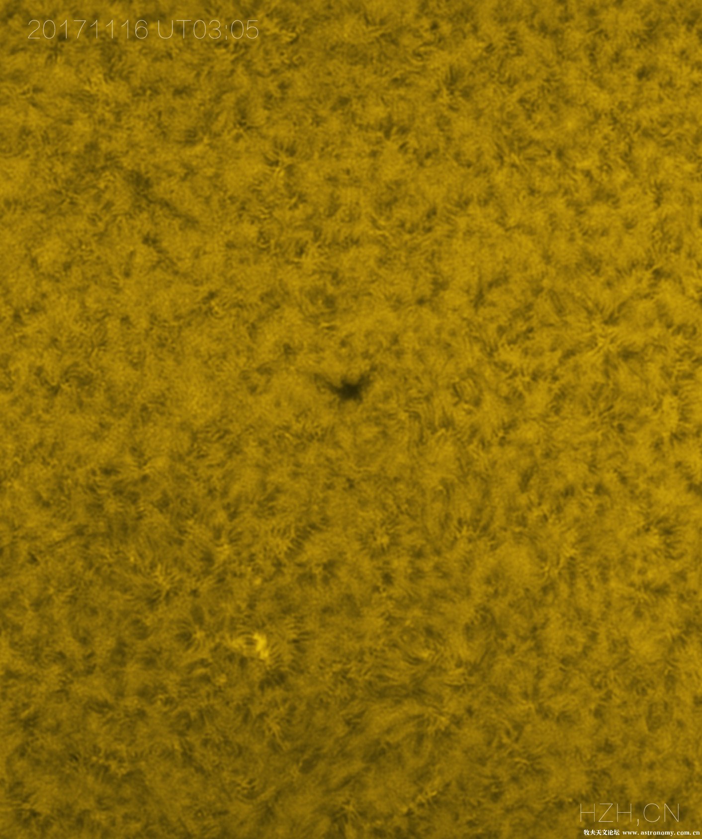 11_05_09_lapl2_ap796.jpg