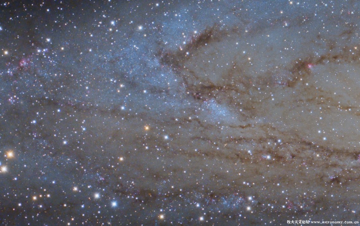 M31 特写.jpg