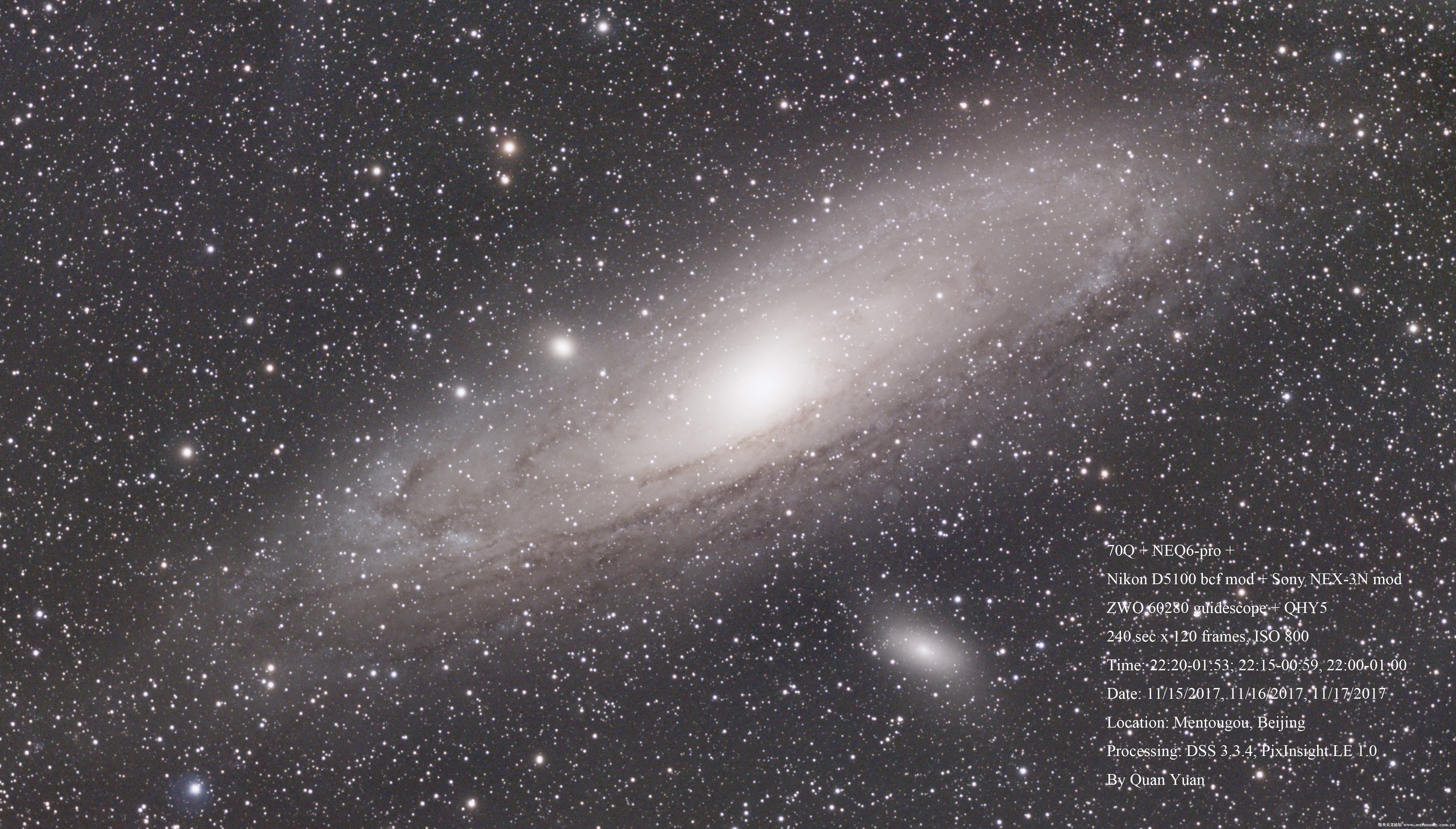 M31