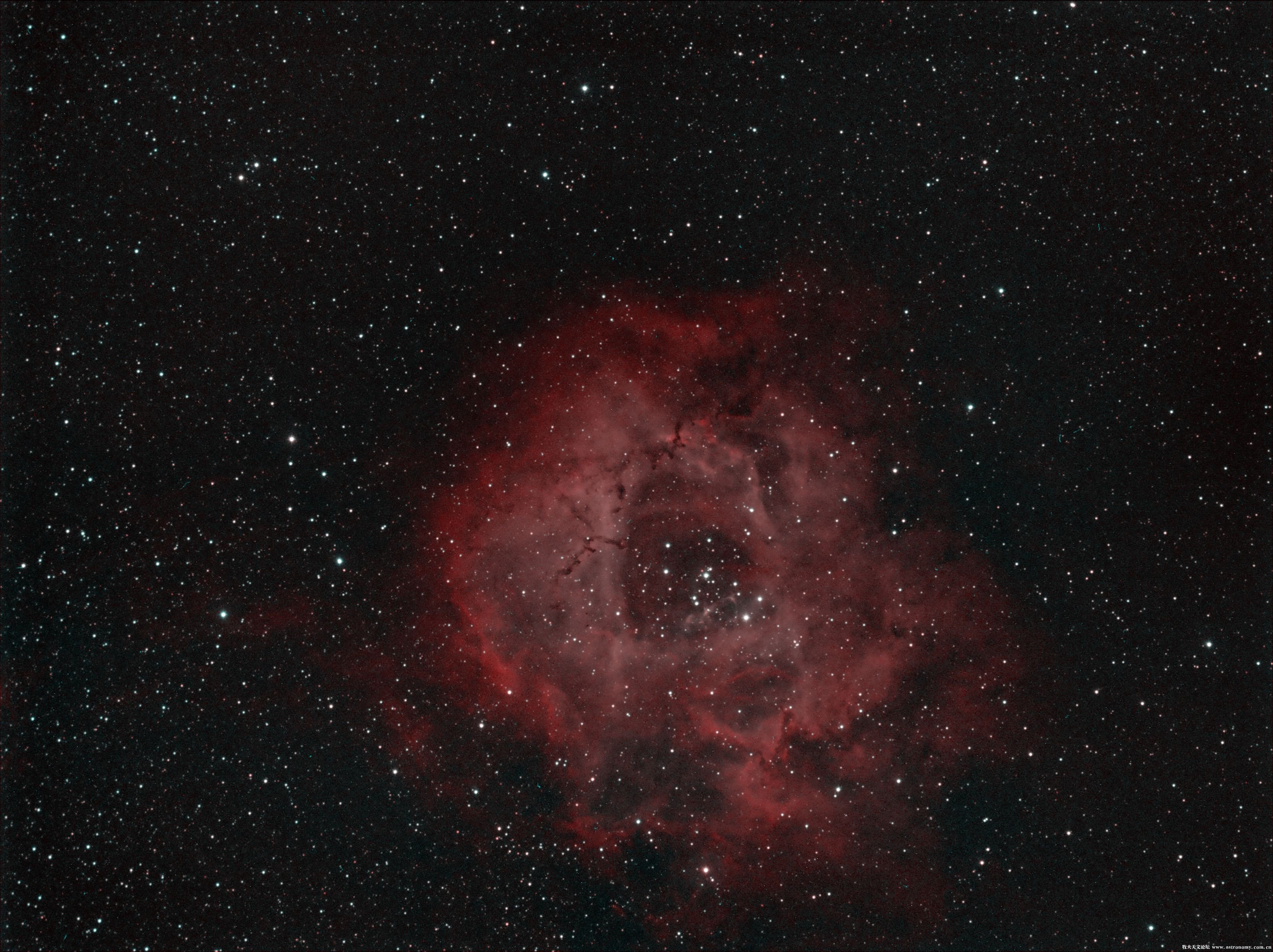 ngc2237-RGB.jpg