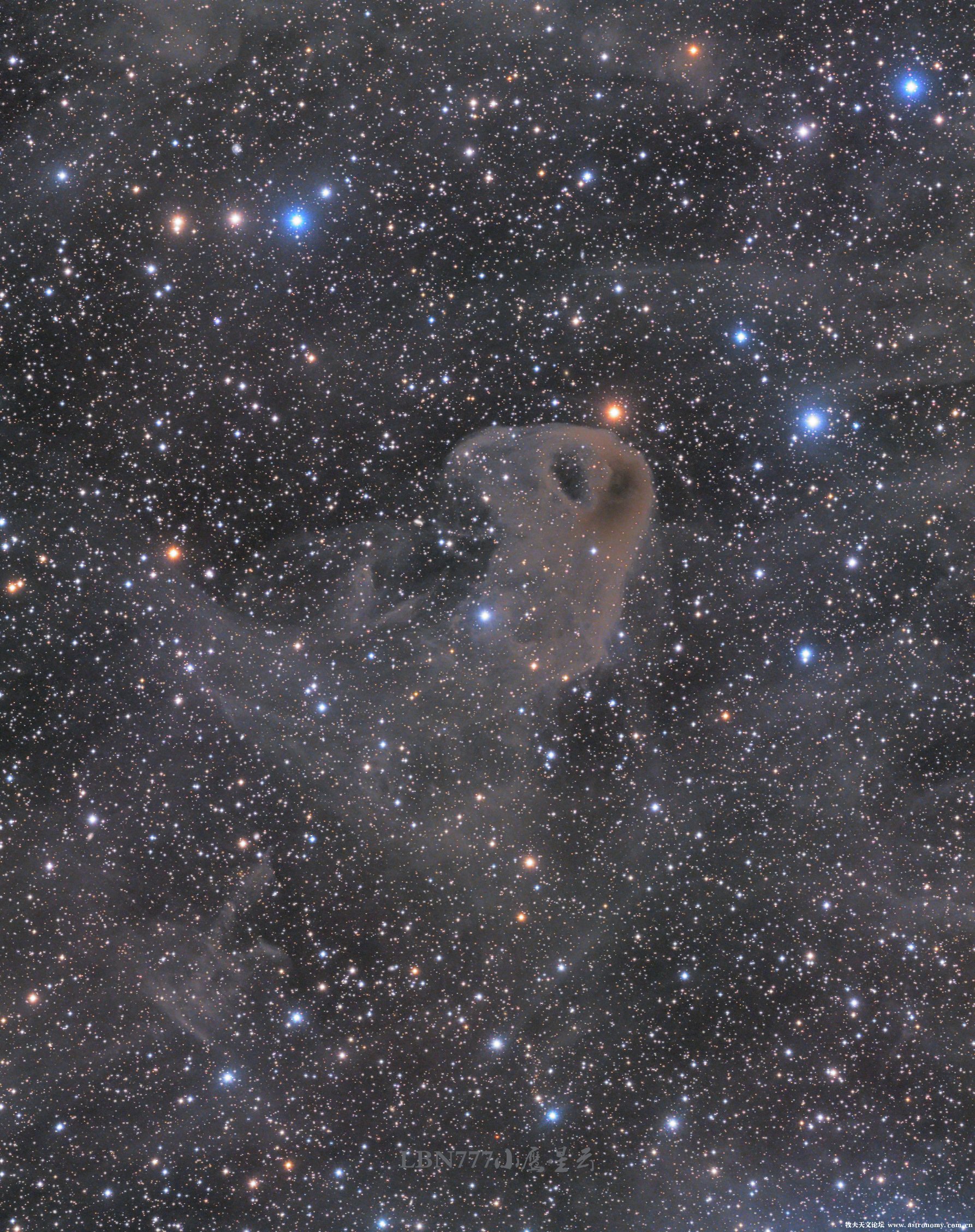 Image37.jpg