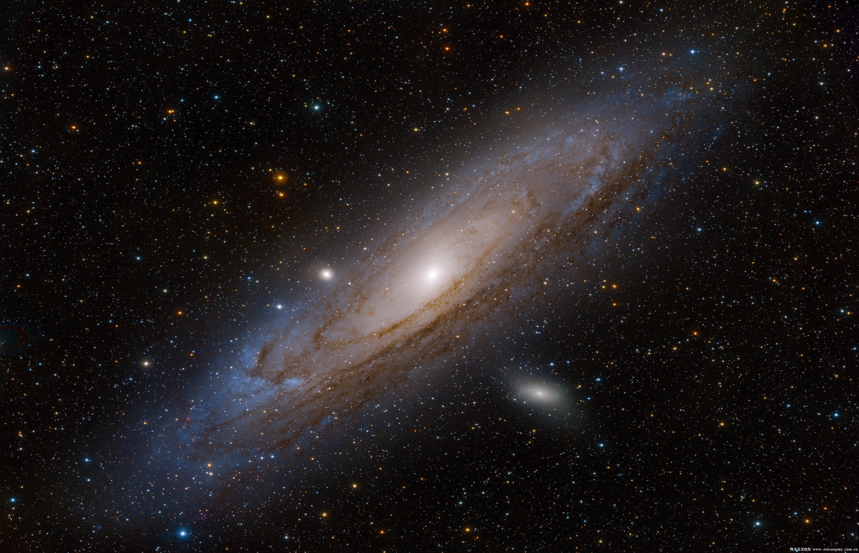 m31003FBIN2.jpg