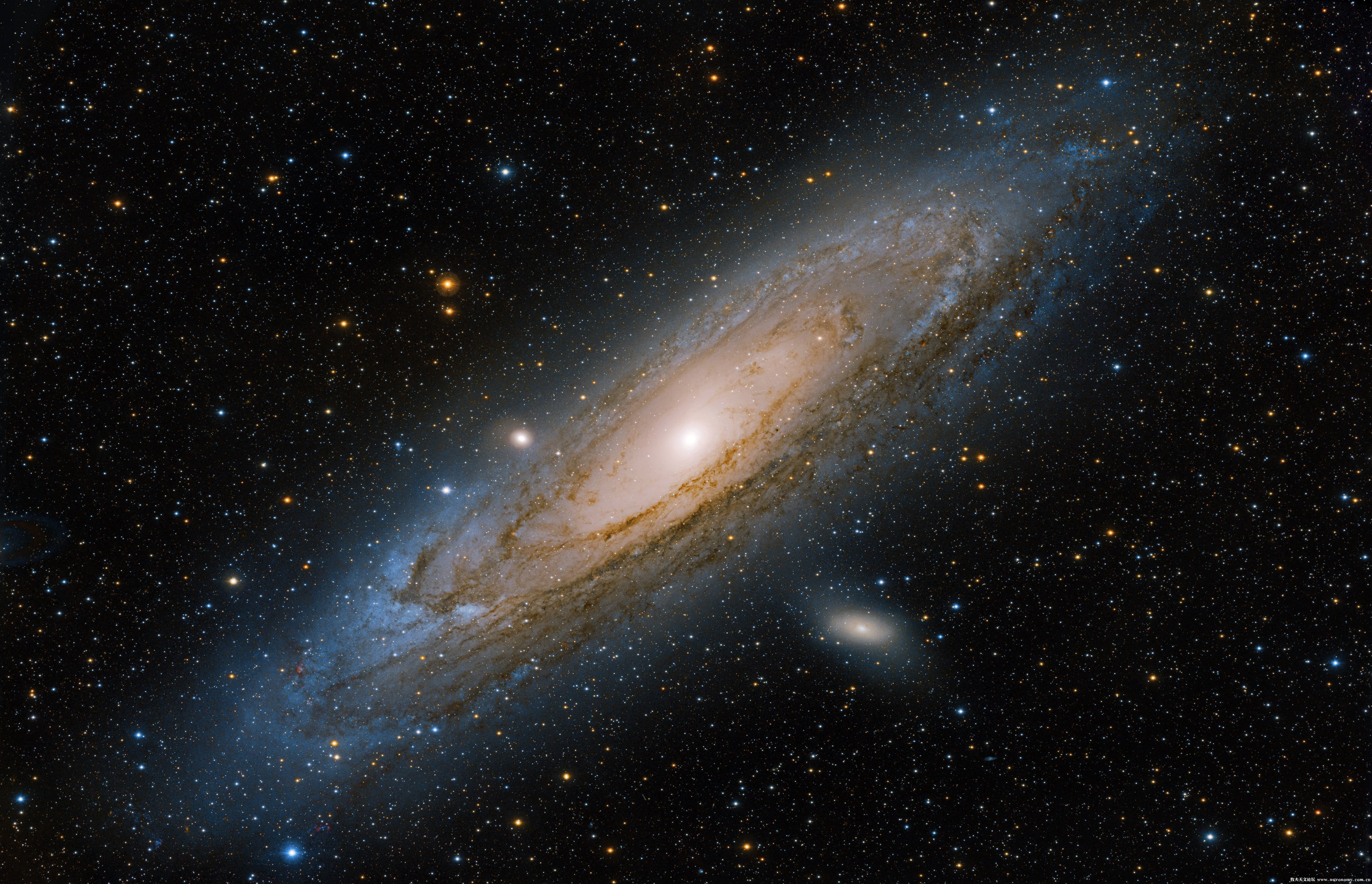 m31003F 副本 3.jpg