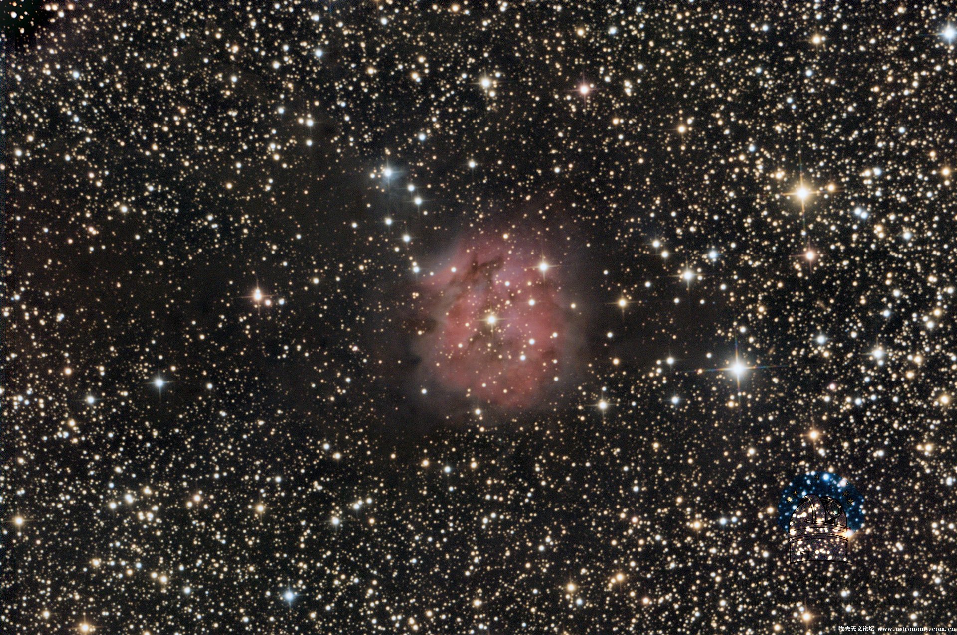 ic5146-1.jpg