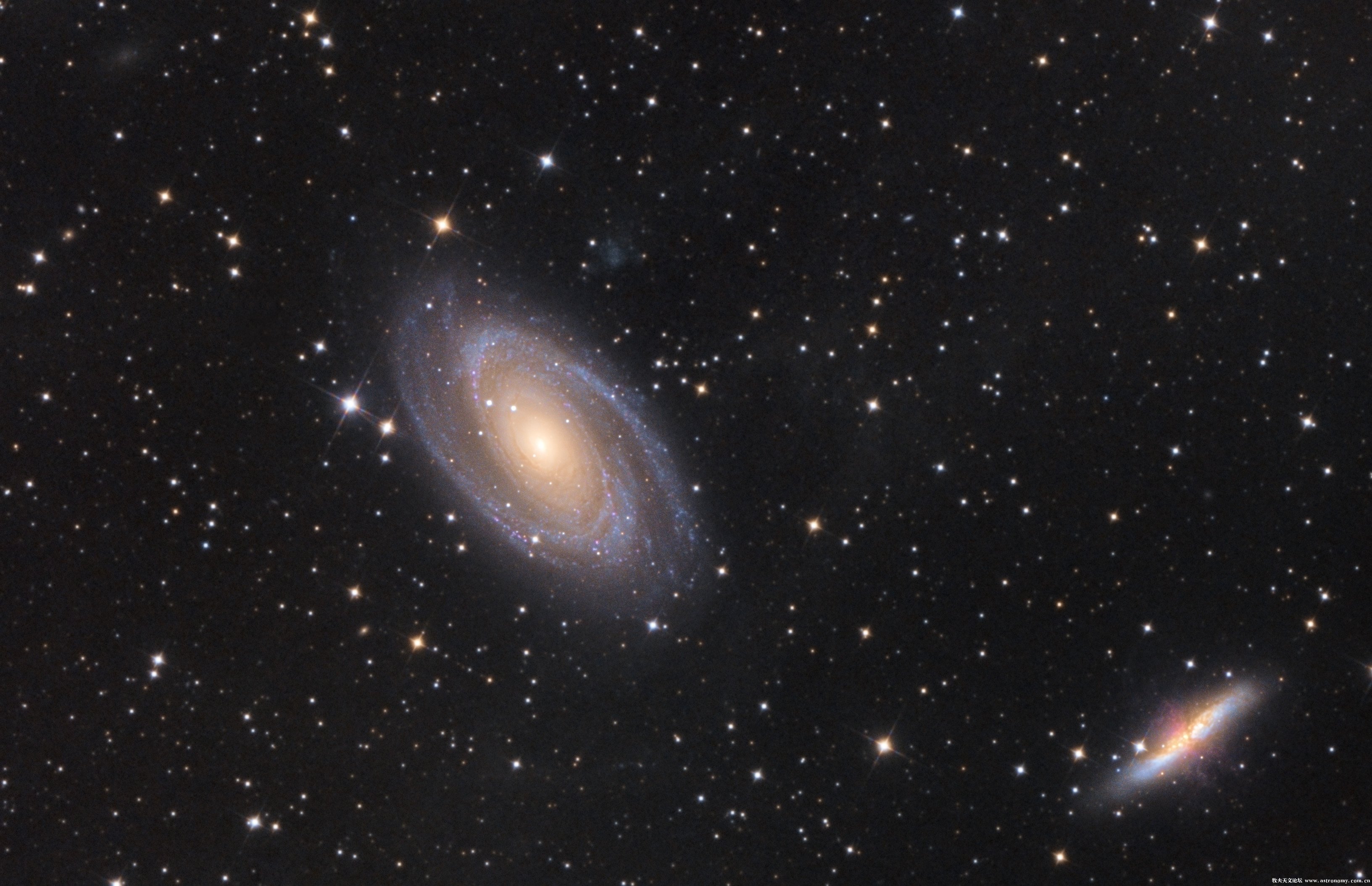 M81c.jpg