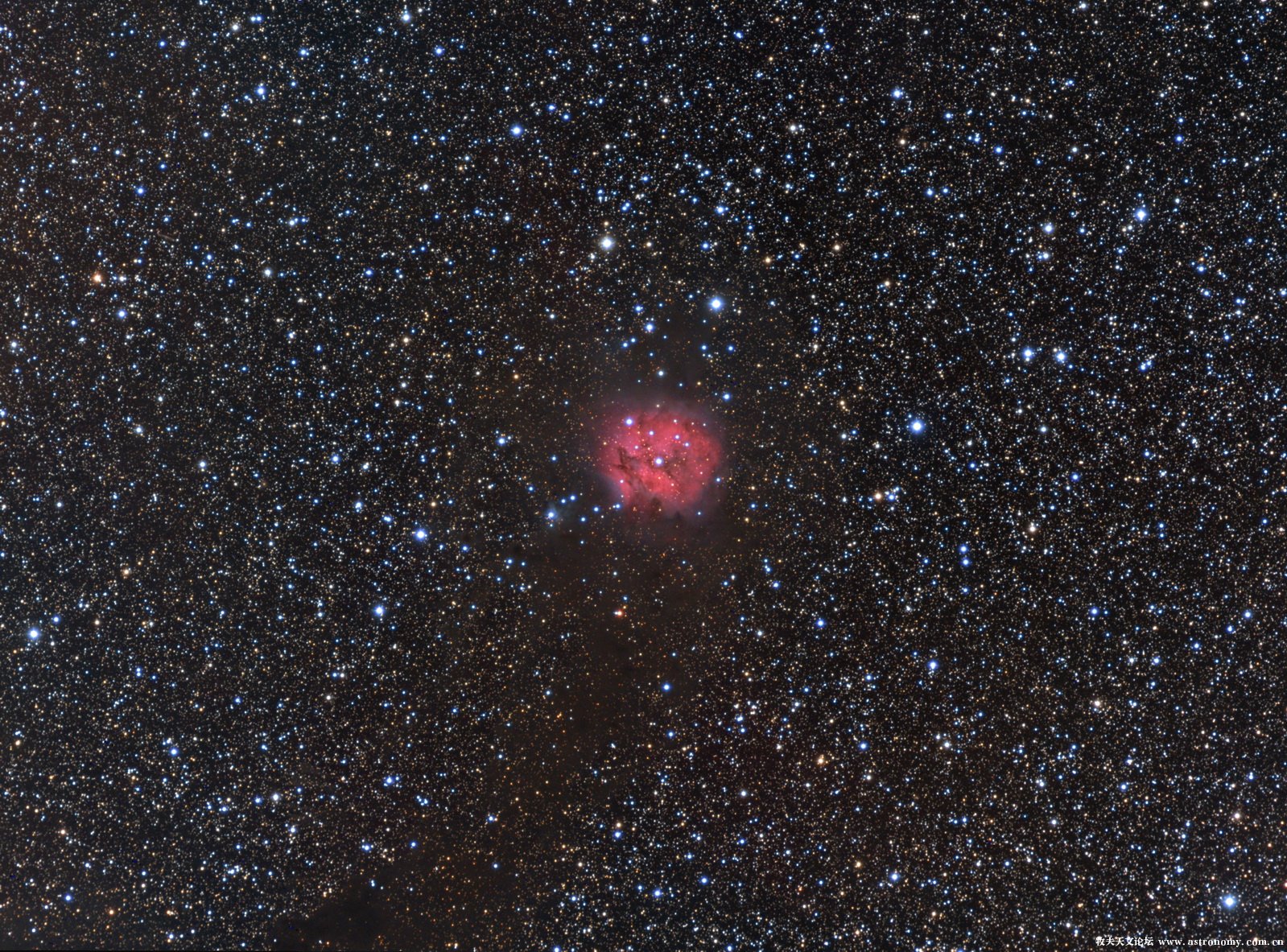 IC5146-LRGB-OK by HG 50%.jpg