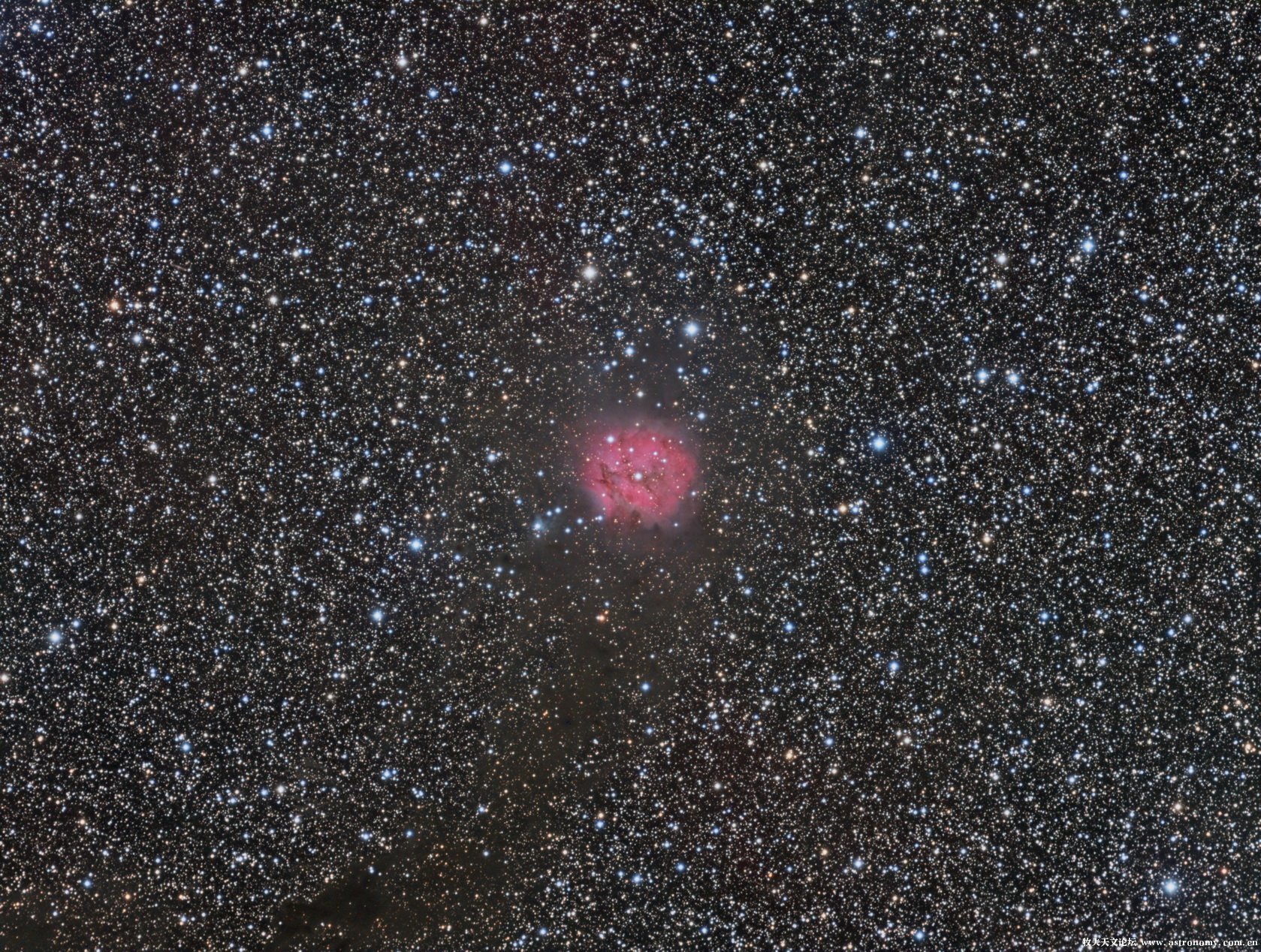 IC5146-静静 50%.jpg