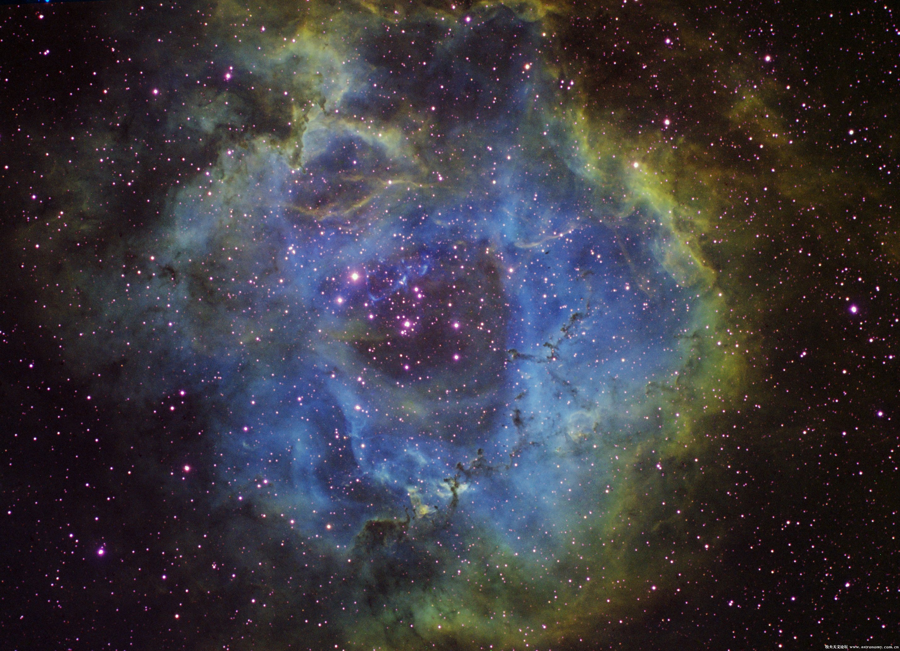 ngc2244-hsho-2.jpg