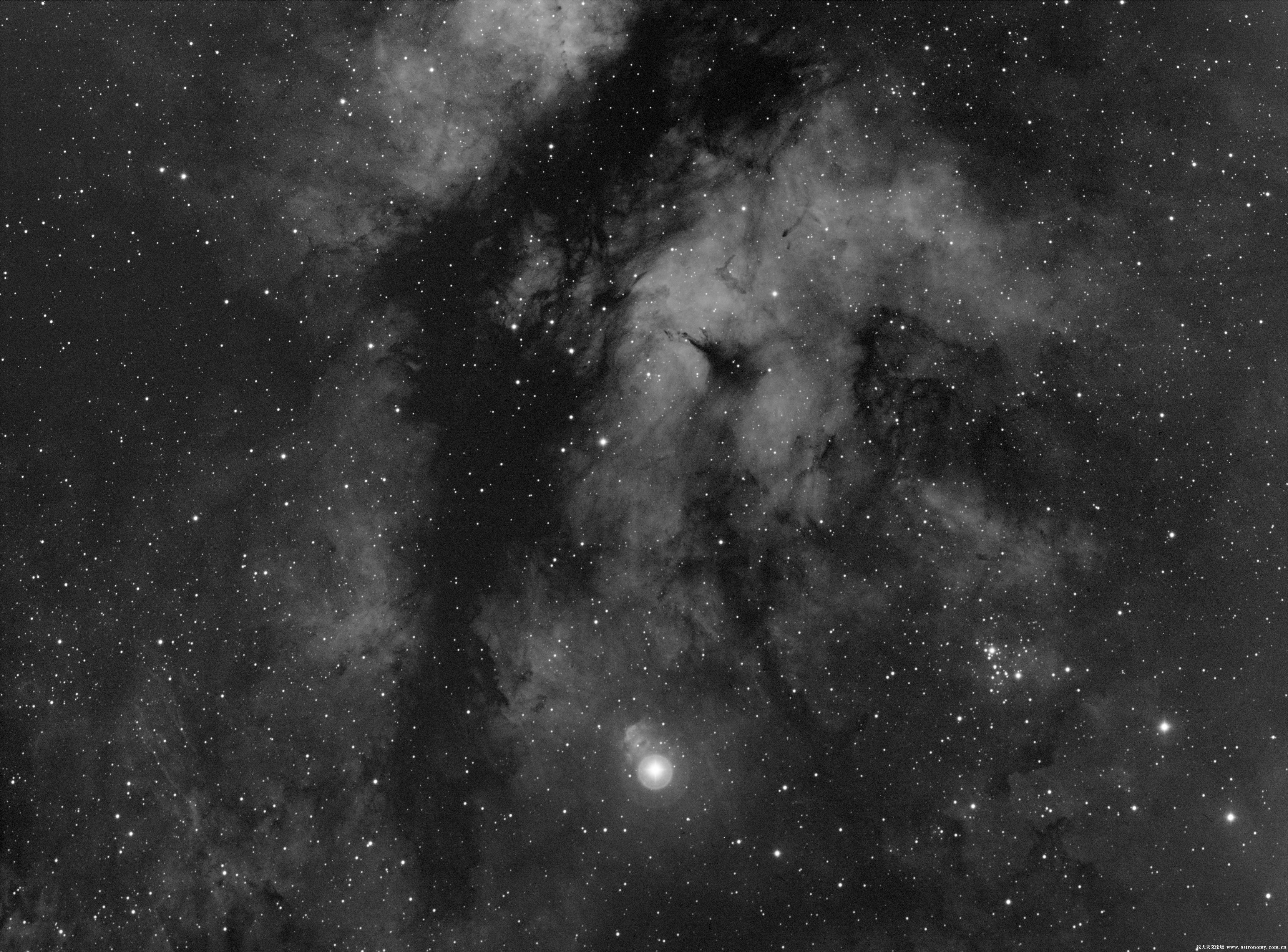 IC1318.jpg