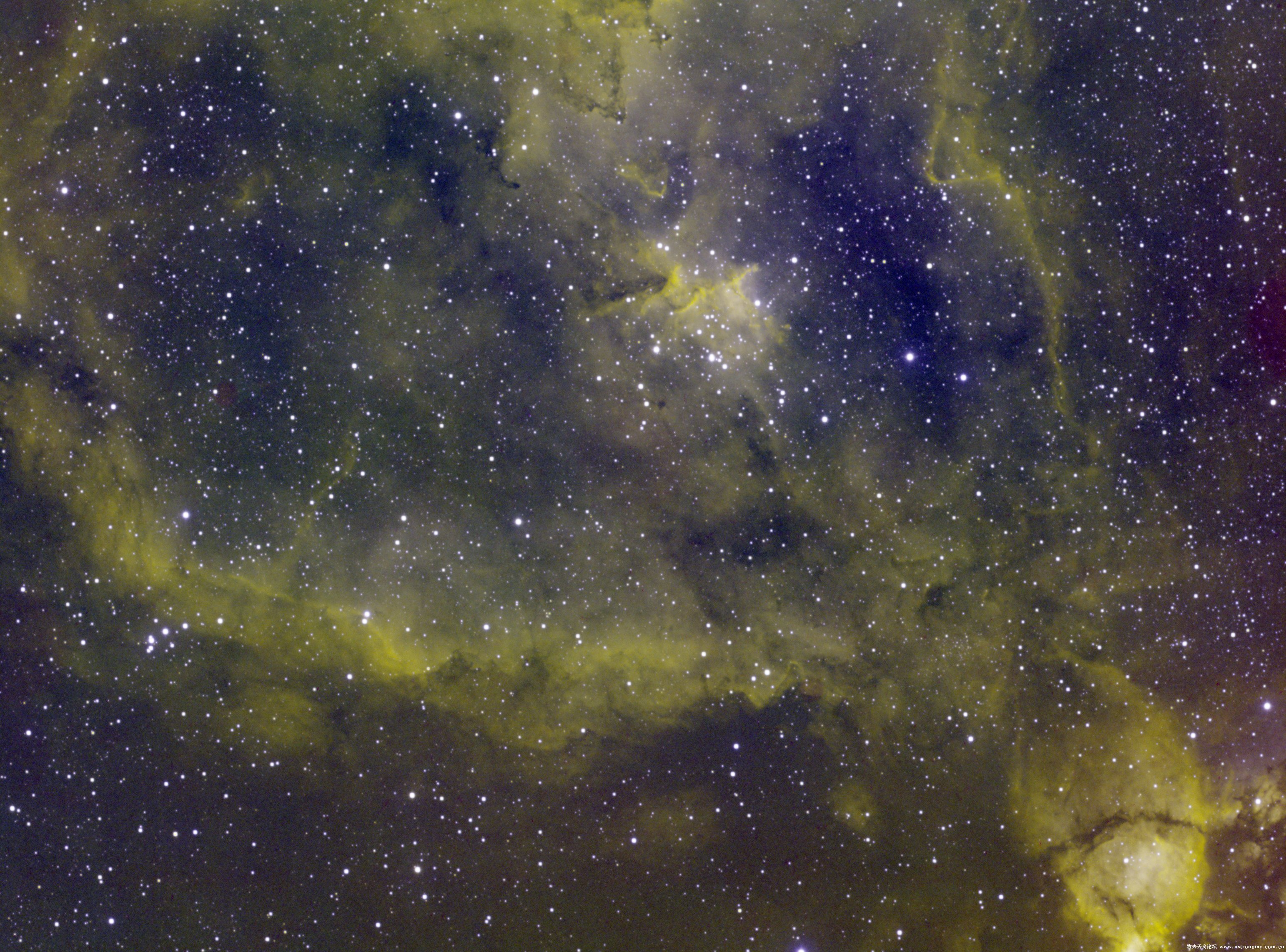 IC1805DBE_DBE_DBE_r-2.jpg