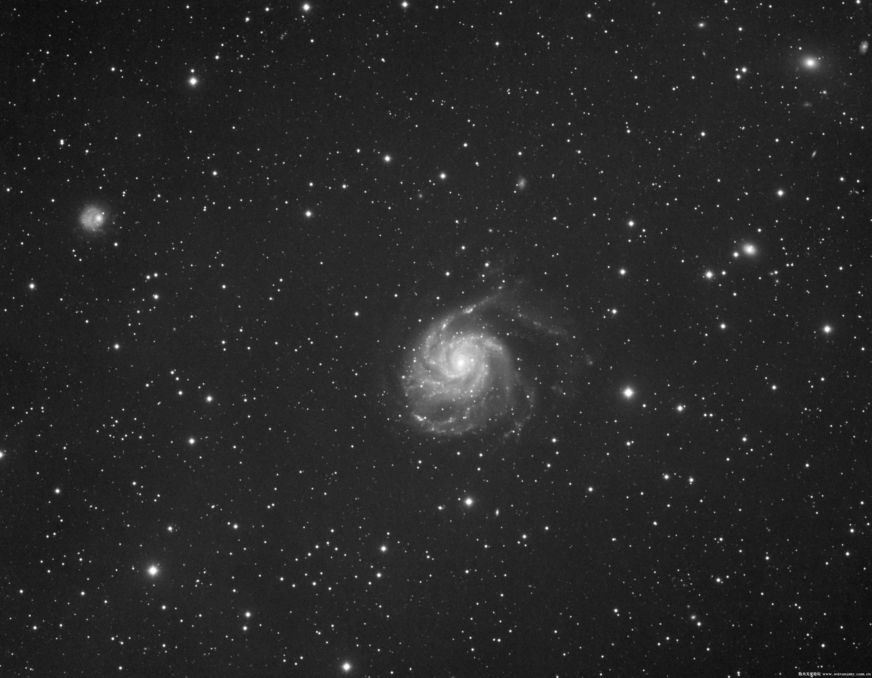 m1019h.jpg