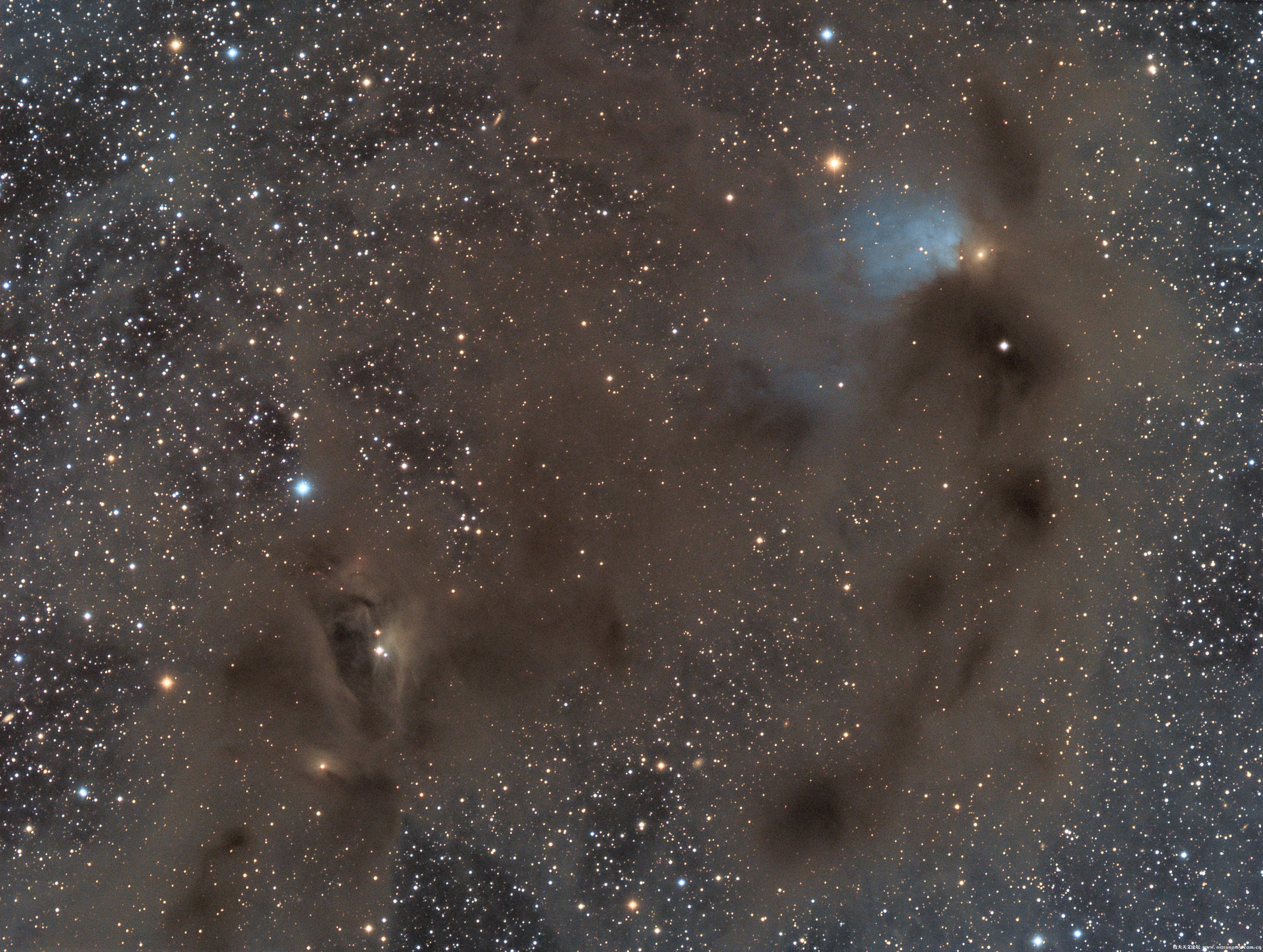LBN782-sshyang-1月27日