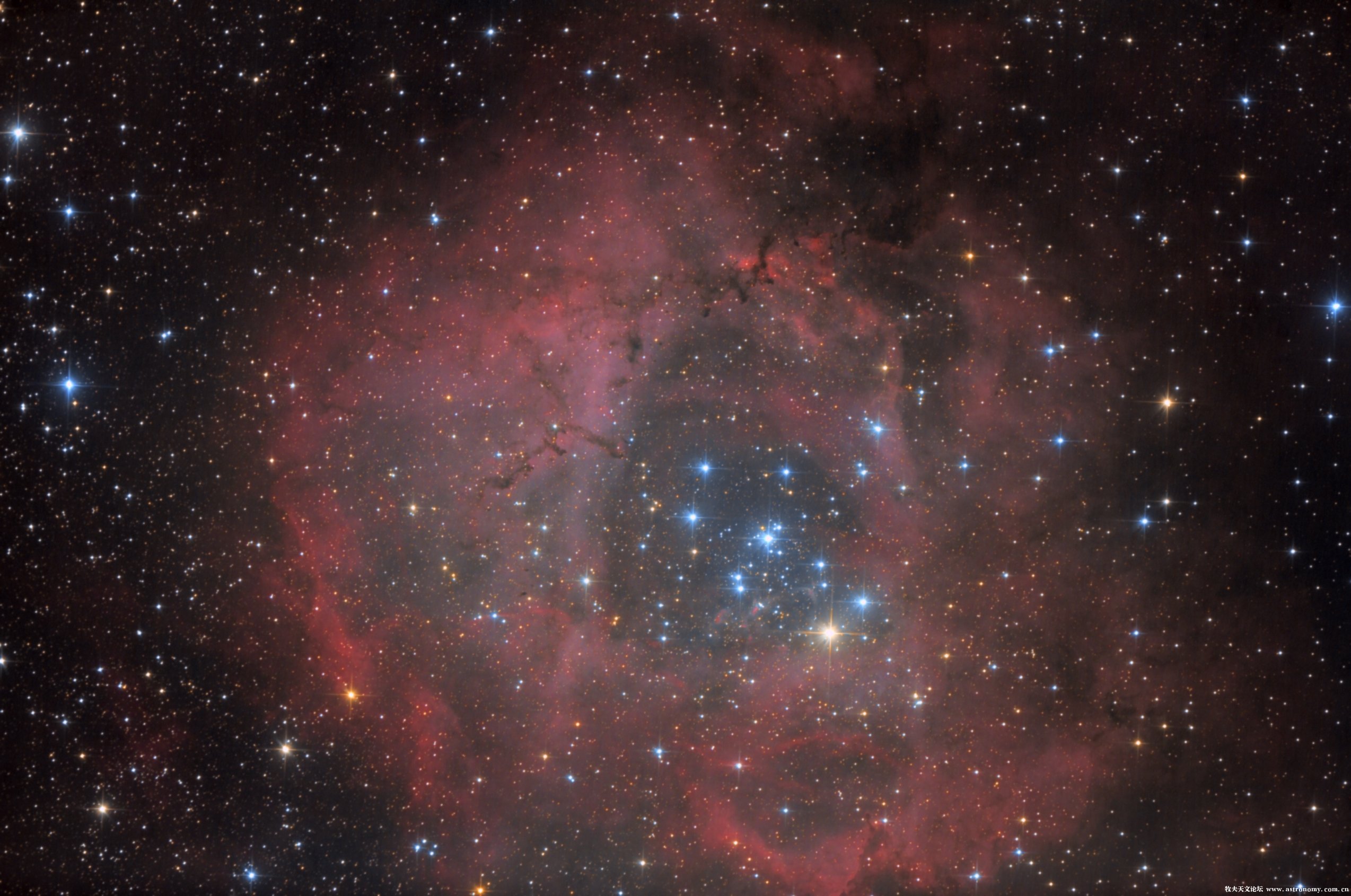 NGC2237-老照.jpg