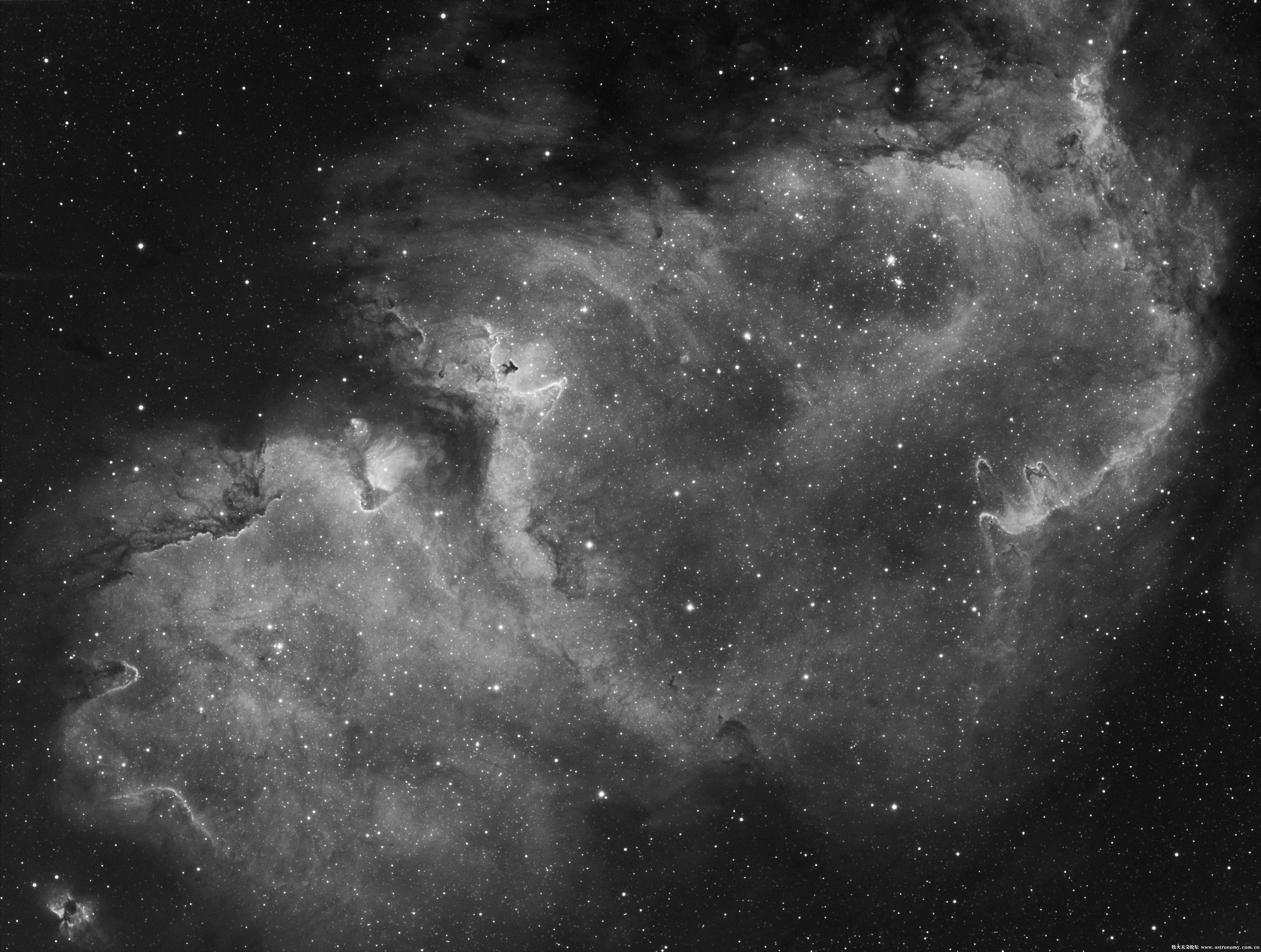 IC1848-老杨.jpg