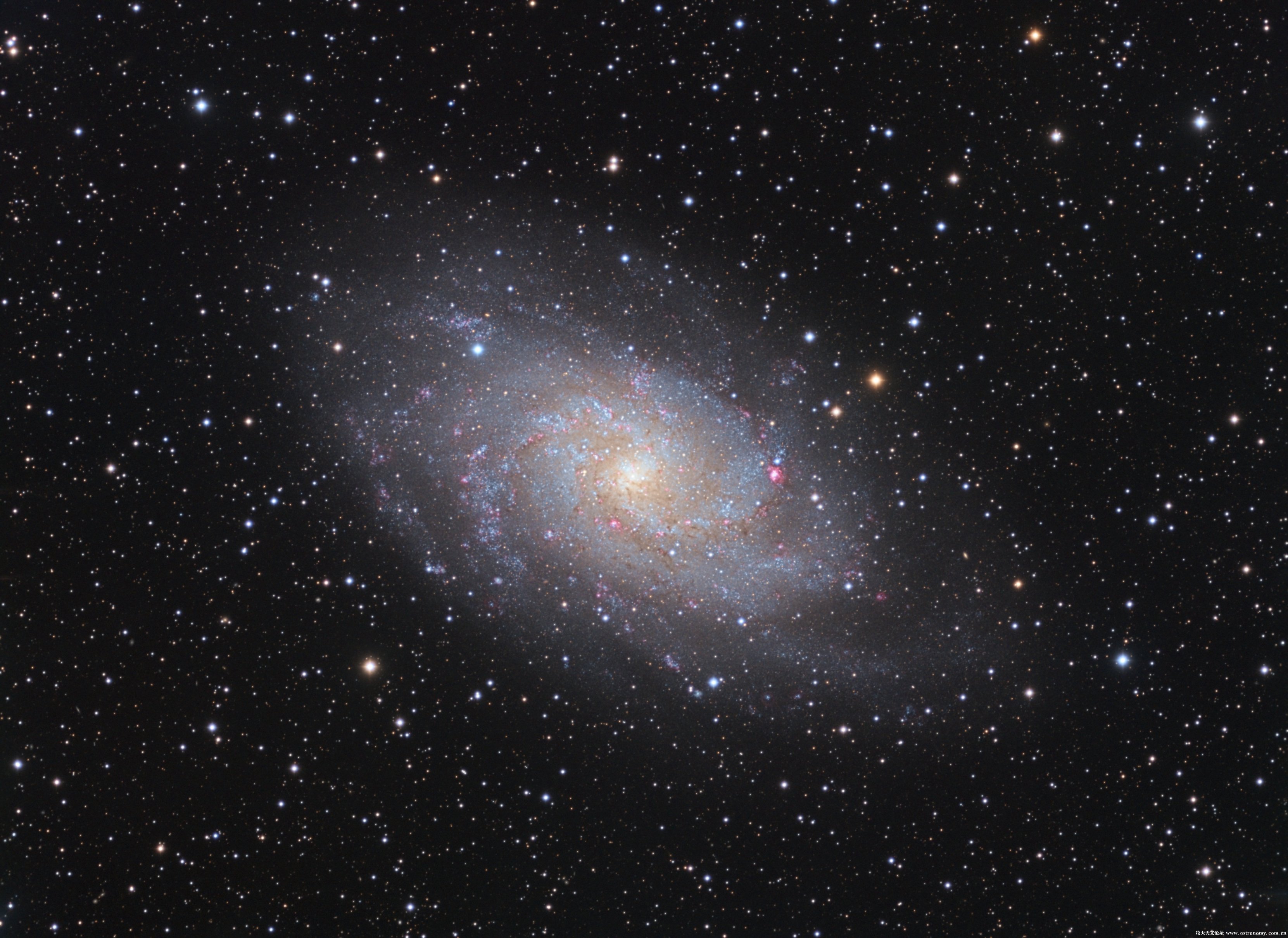 M33-老杨.jpg
