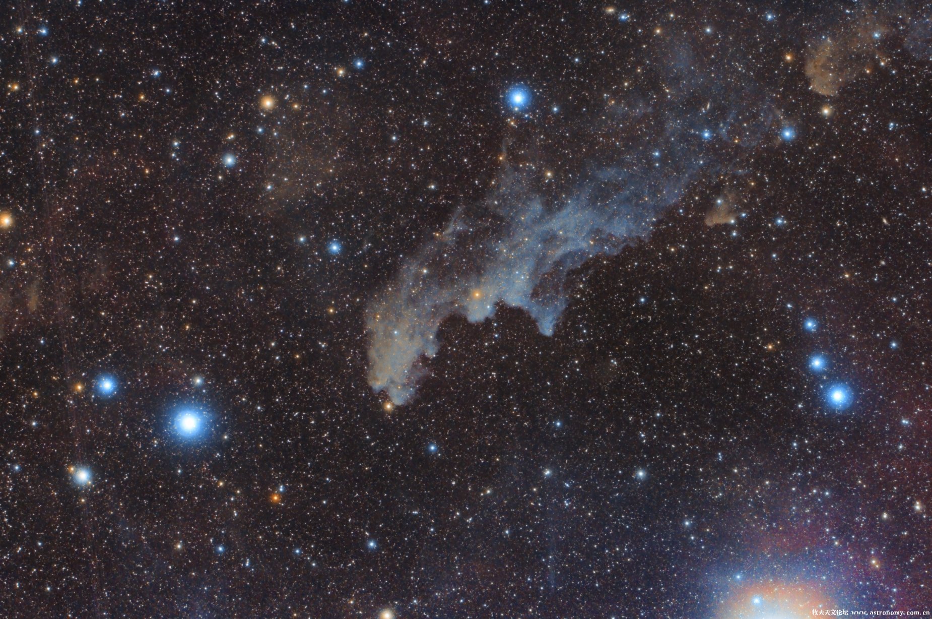 IC2118-Lee.jpg