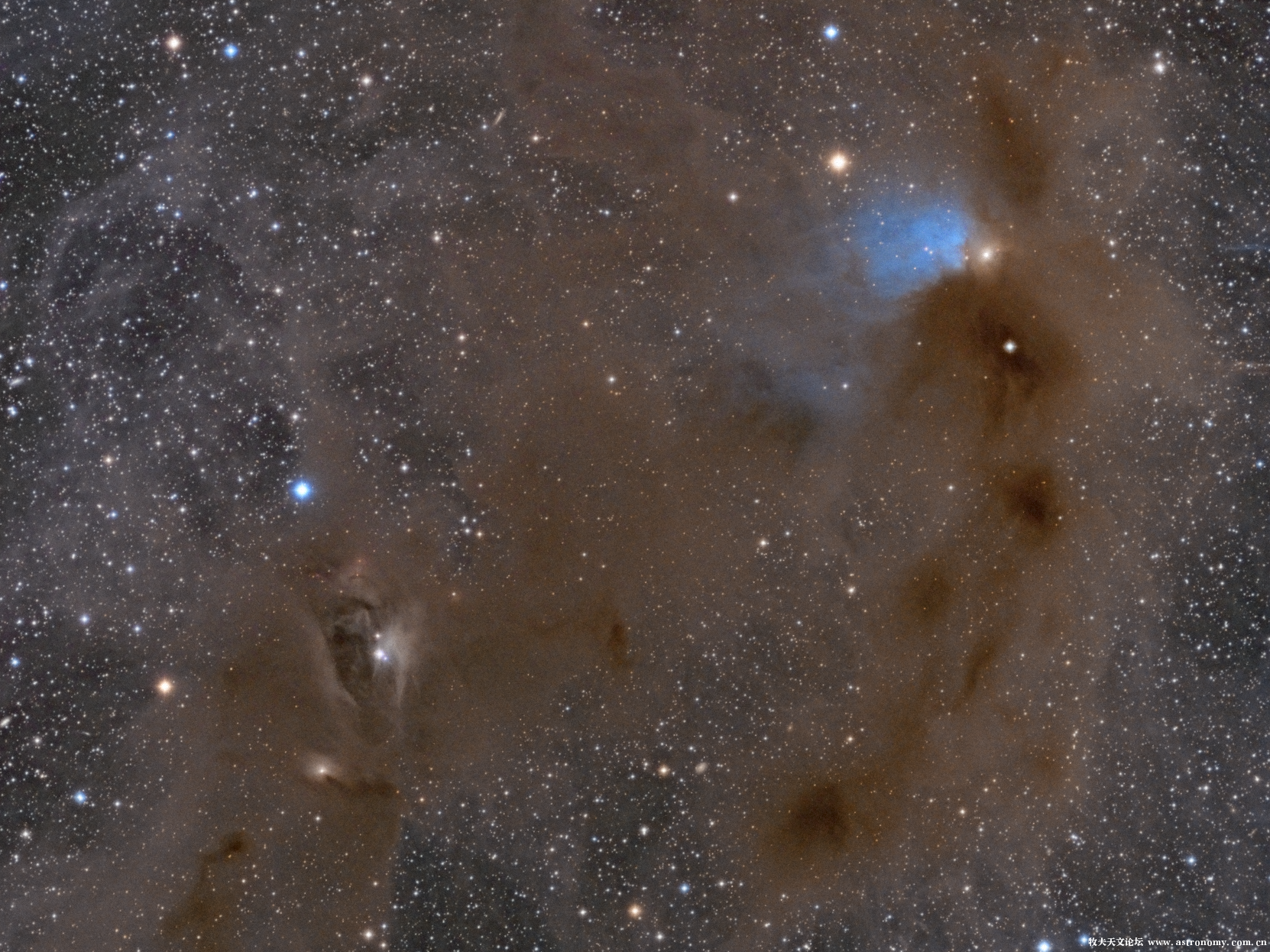 LBN782-sshyang-9月10日