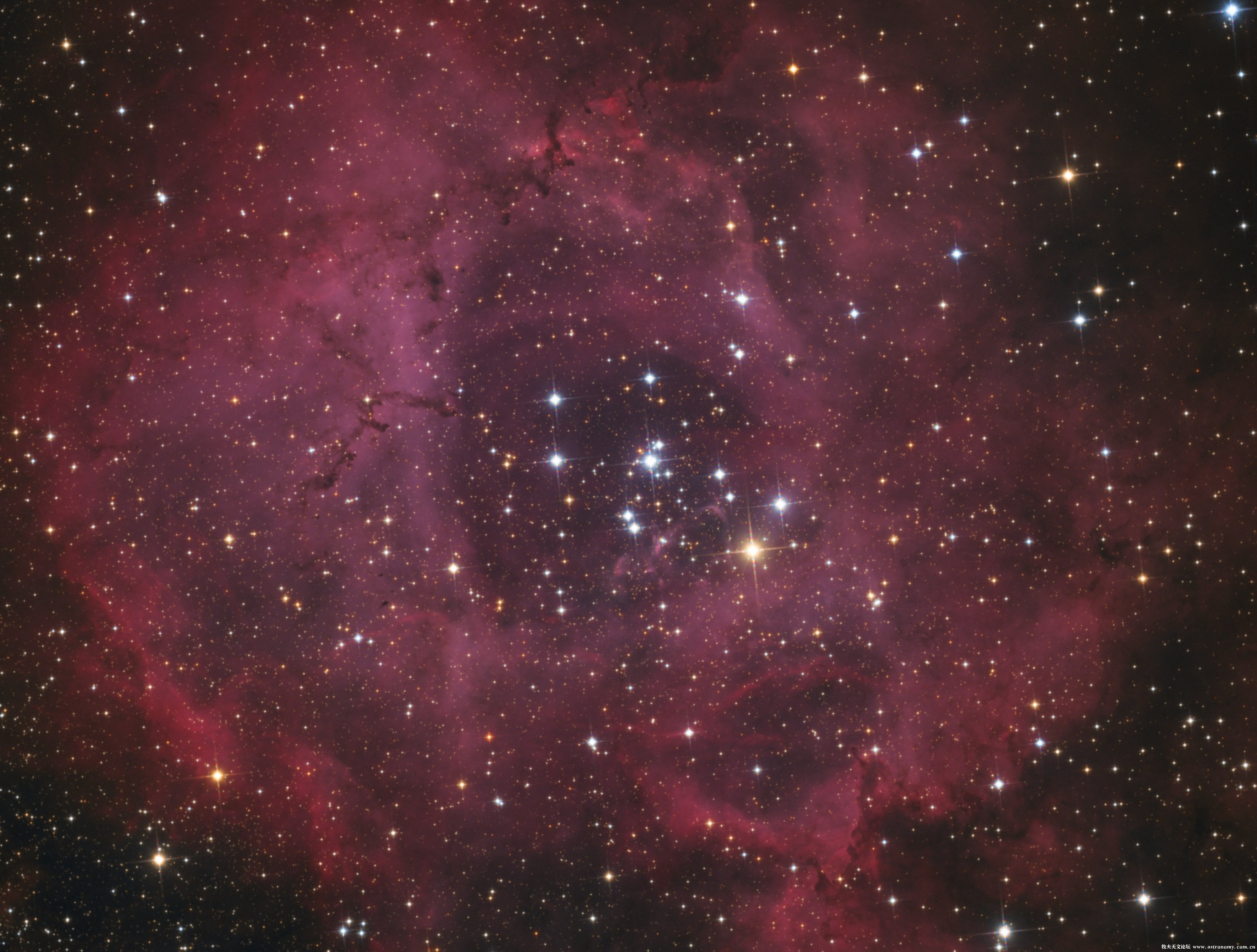 NGC2237-曹越.jpg