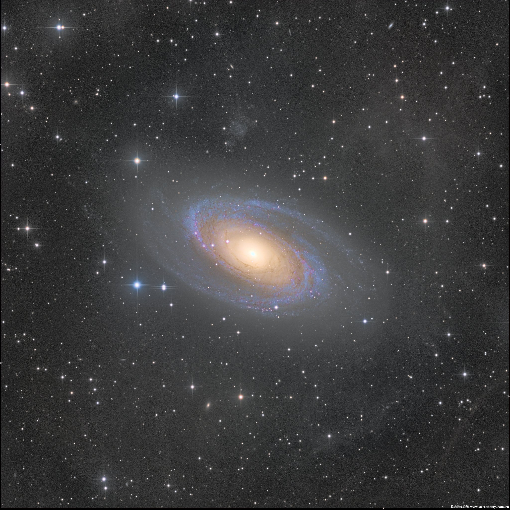 M81-Manuel Jimenez.jpg