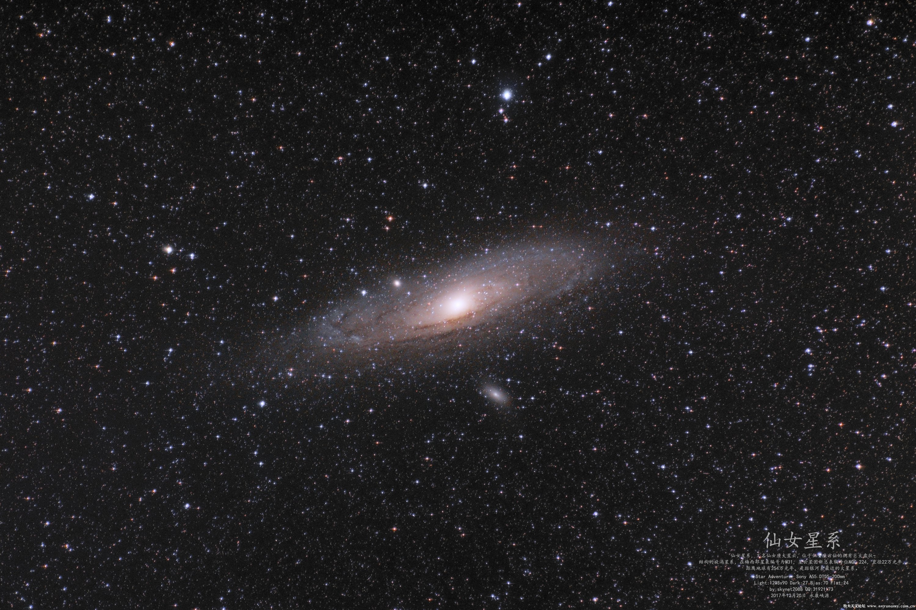 m311.jpg