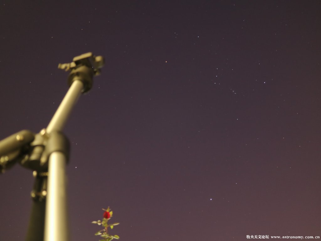 白菜星野，F3'5 ISO1000  单张曝光10秒 无后期