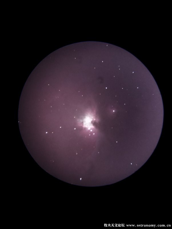 m42