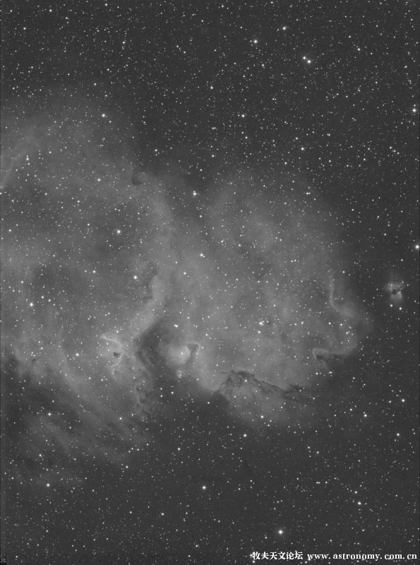 ic1848ha1_r.jpg