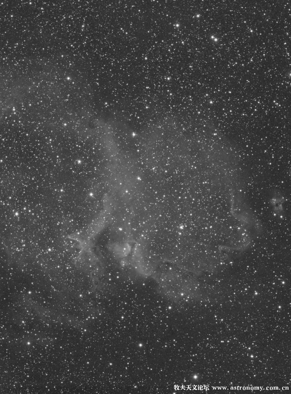 ic1848s22_r.jpg