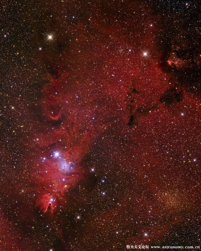 NGC2264 圣诞树星团